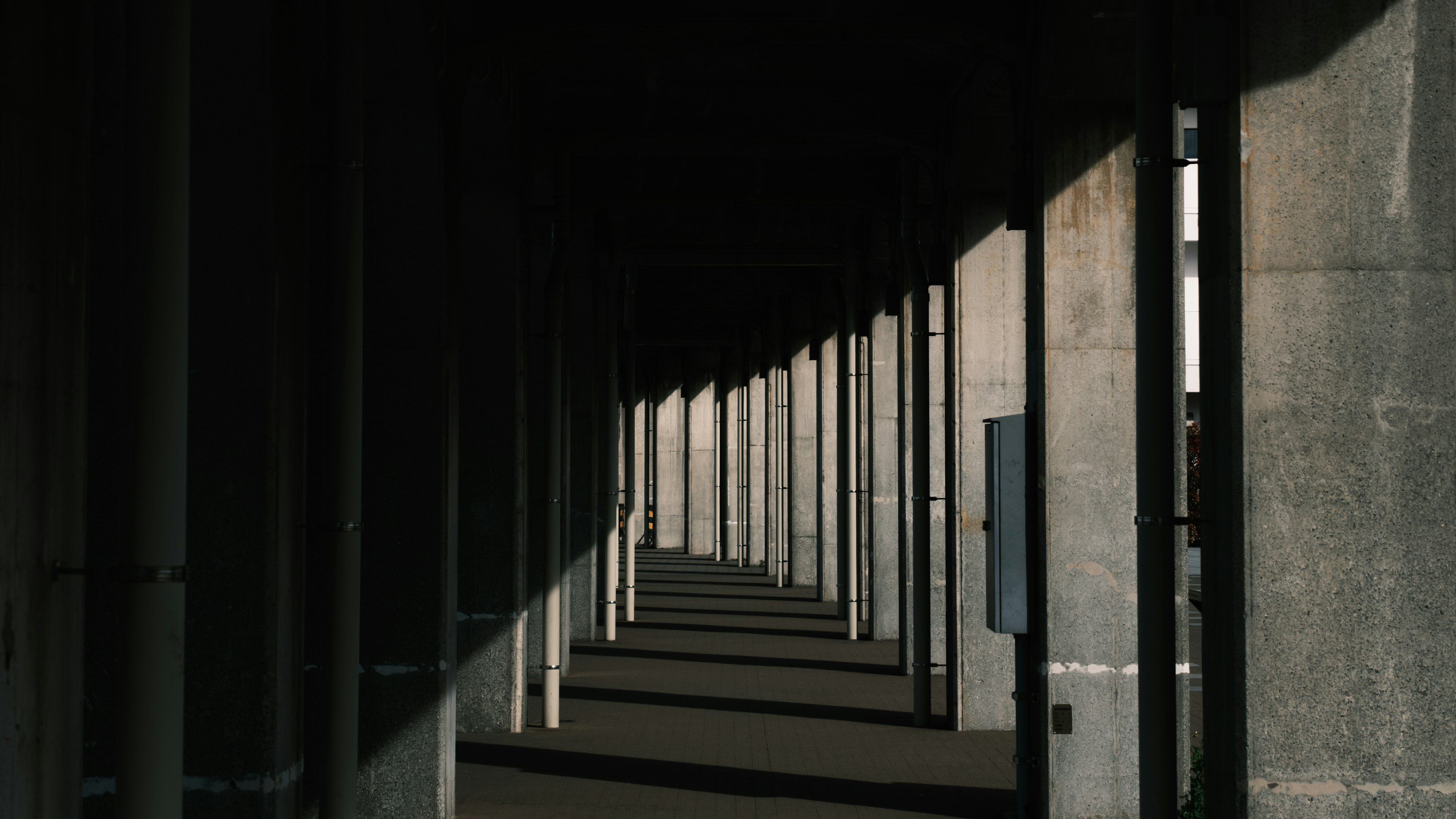 Row of columns in a dark corridor casting shadows