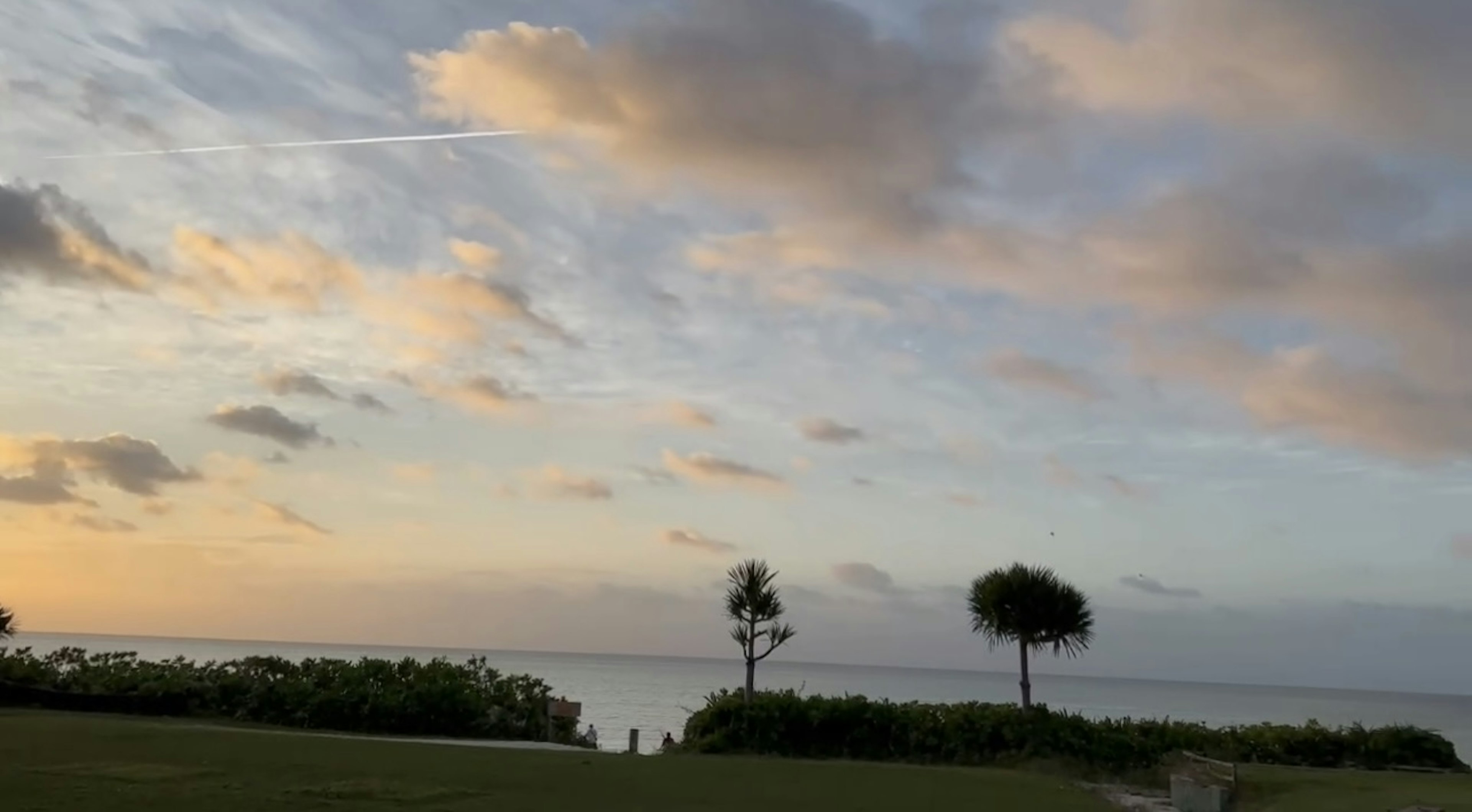 Vue pittoresque de l'océan et du ciel au coucher du soleil avec une verdure luxuriante