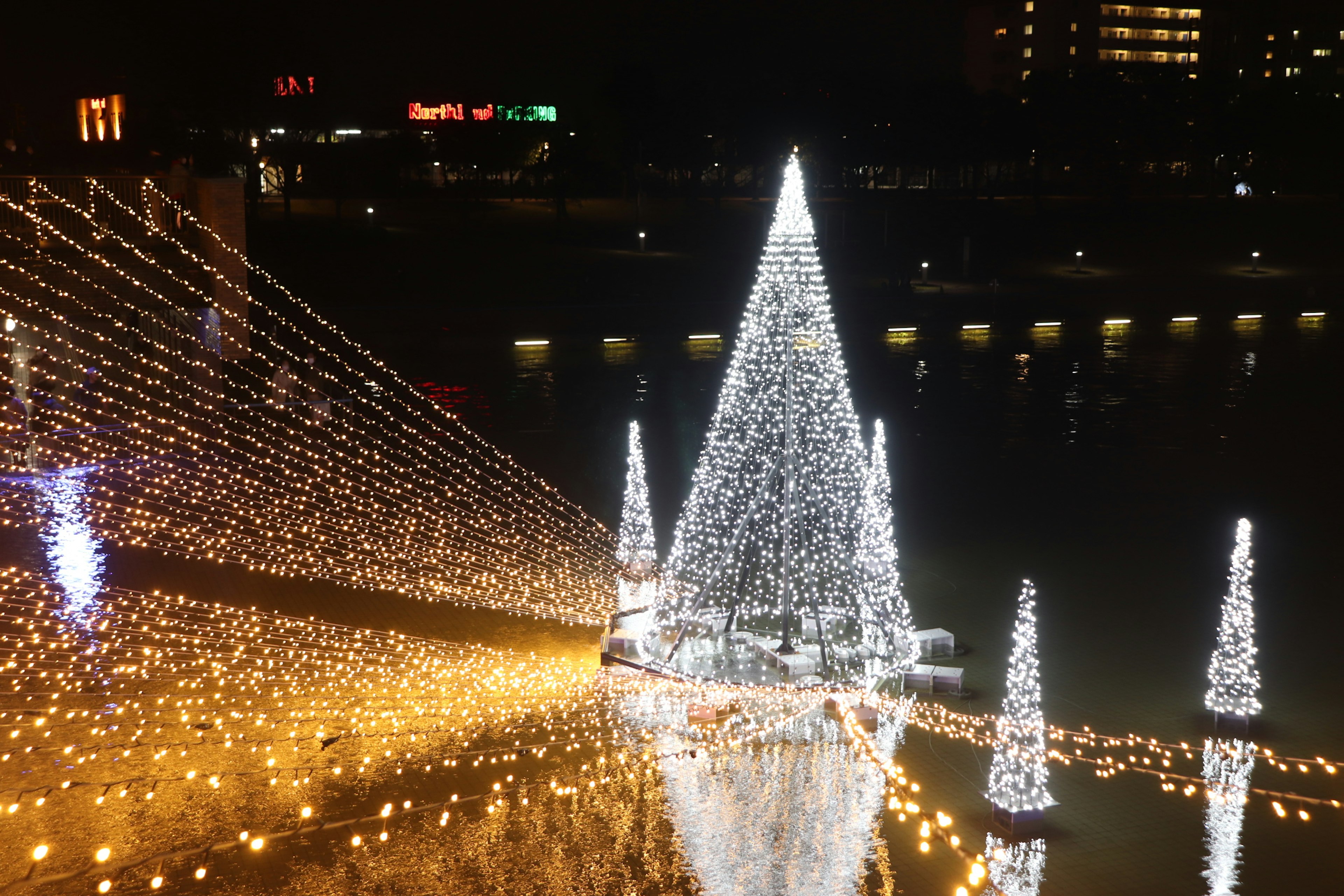 夜景の中に輝くクリスマスツリーとイルミネーションの光