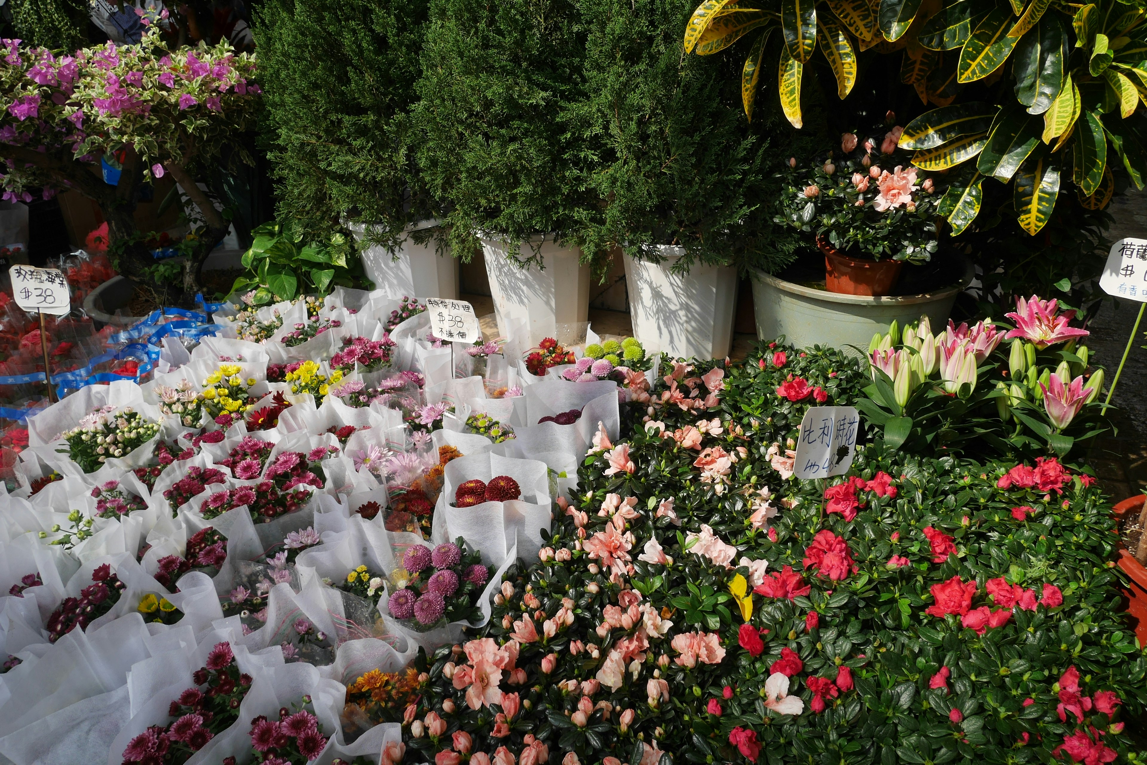 Vibrant flower market scene with colorful blooms and lush greenery