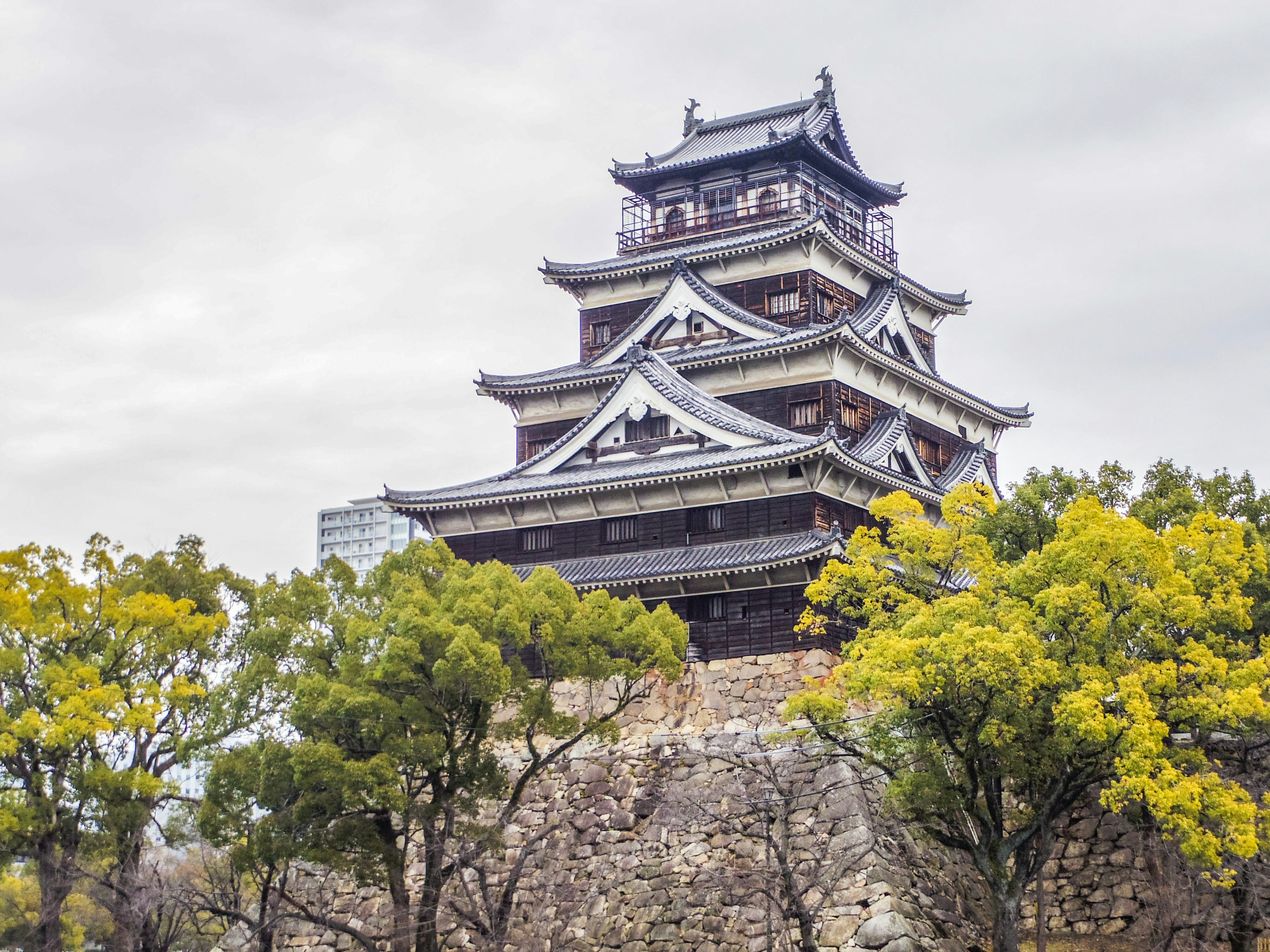 Historic castle tower surrounded by lush green trees