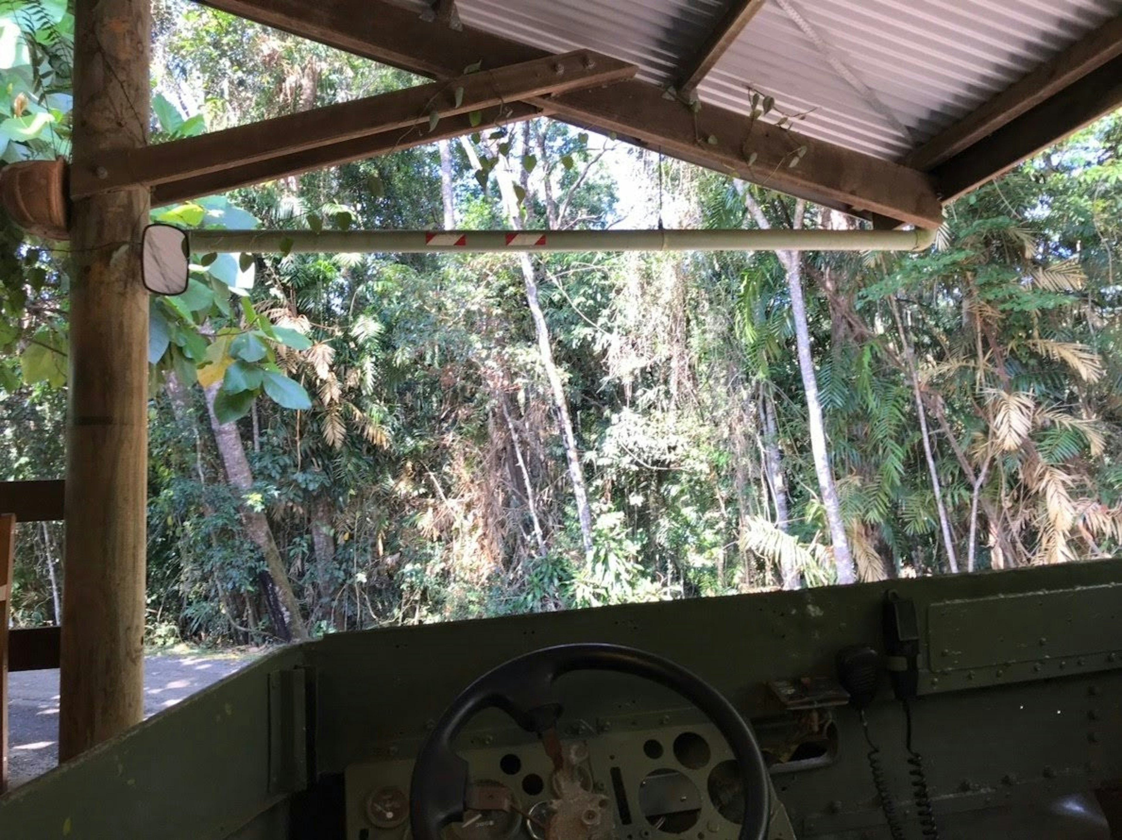 Vue sur une forêt verdoyante à travers une structure de toit en bois avec un volant de véhicule