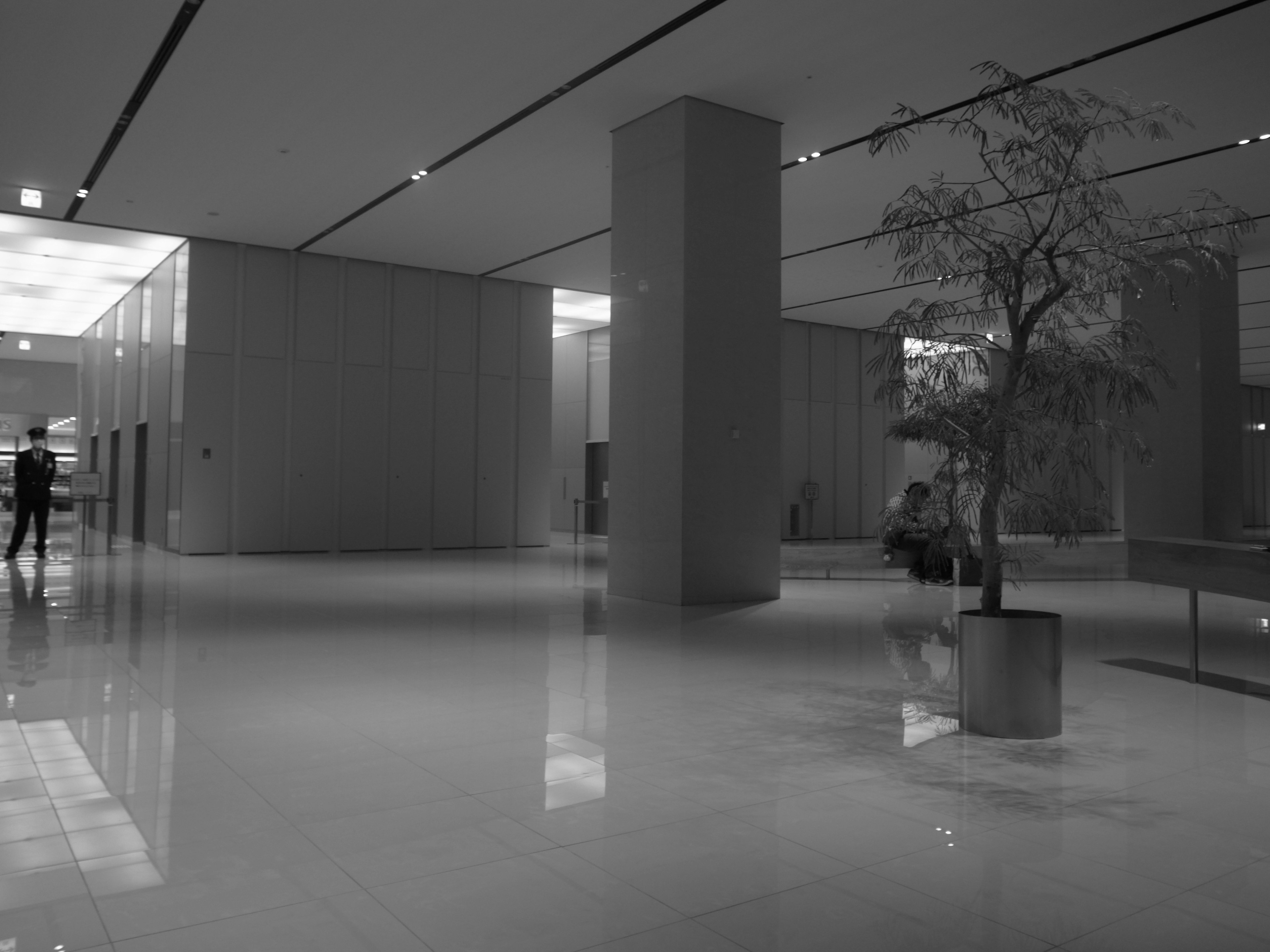 Modern lobby interior featuring a tree and large pillars