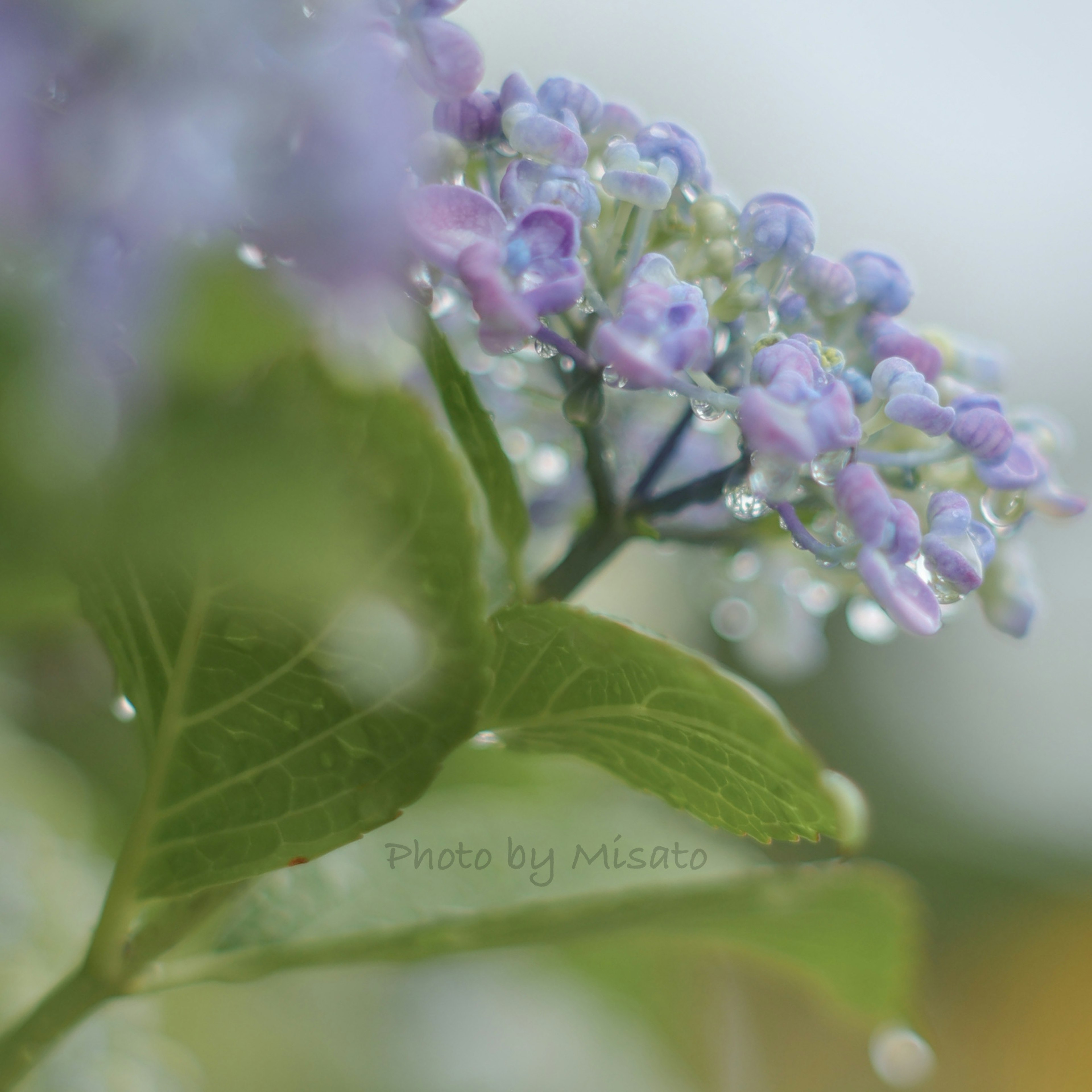 photo-z01QOFgAbbExoULJWNad-image