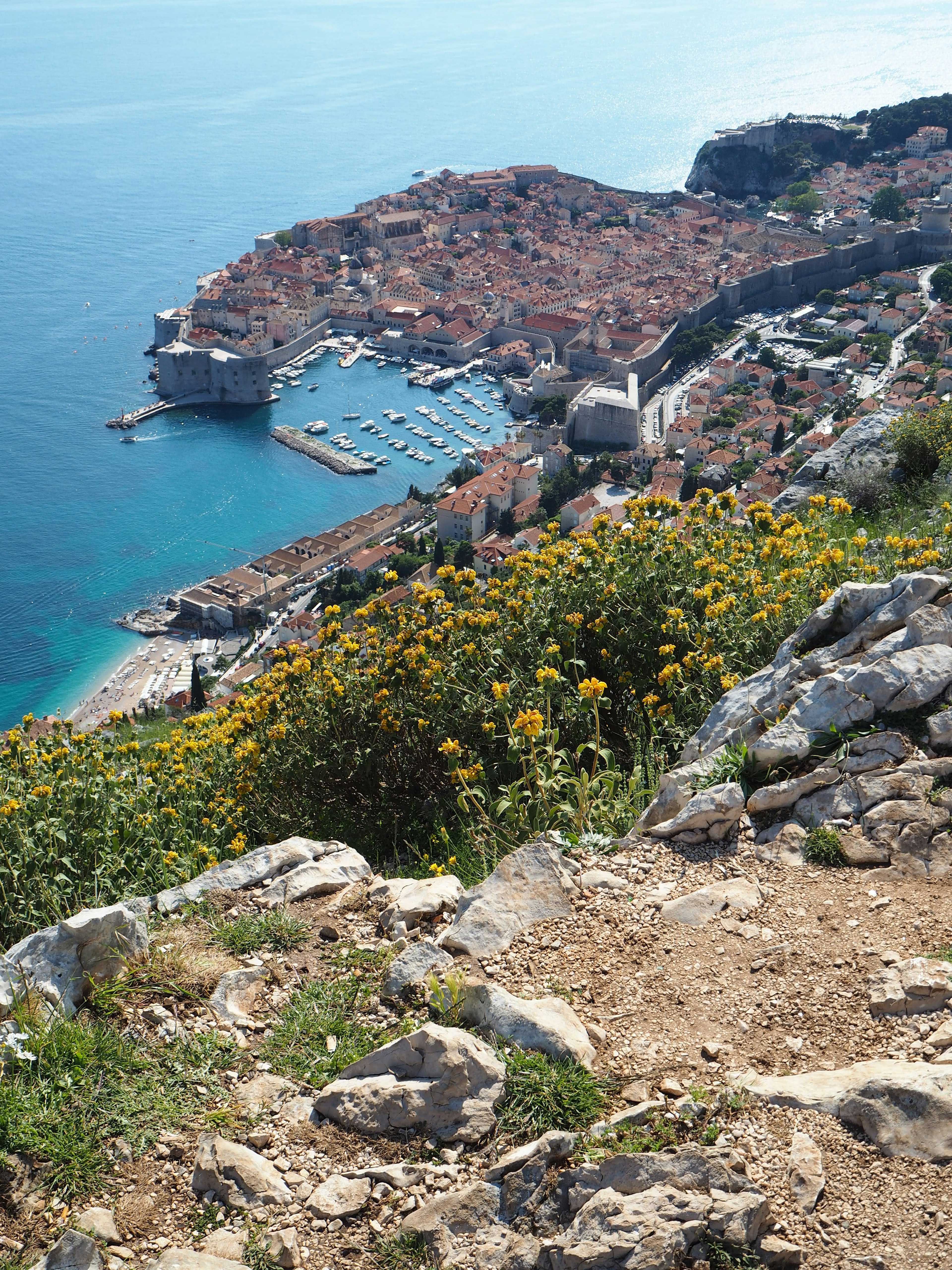 Vista panoramica di una città costiera con fiori vivaci e acqua cristallina