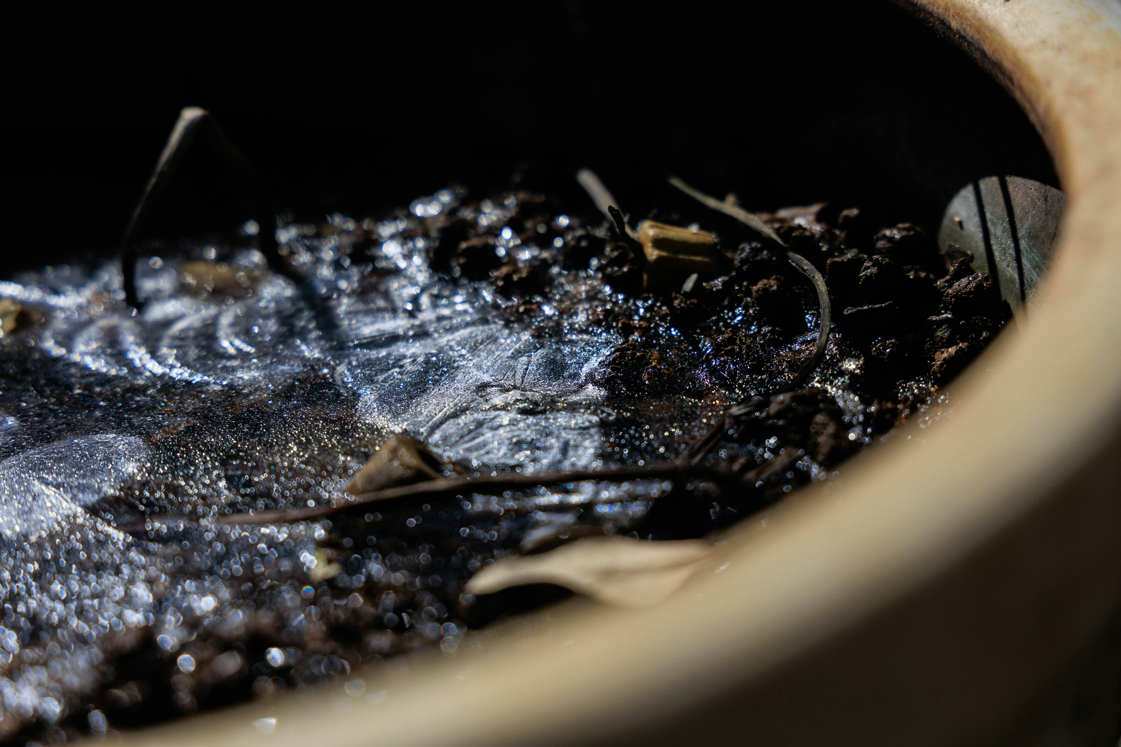 Foto close-up air yang menggenang di tanah dalam pot