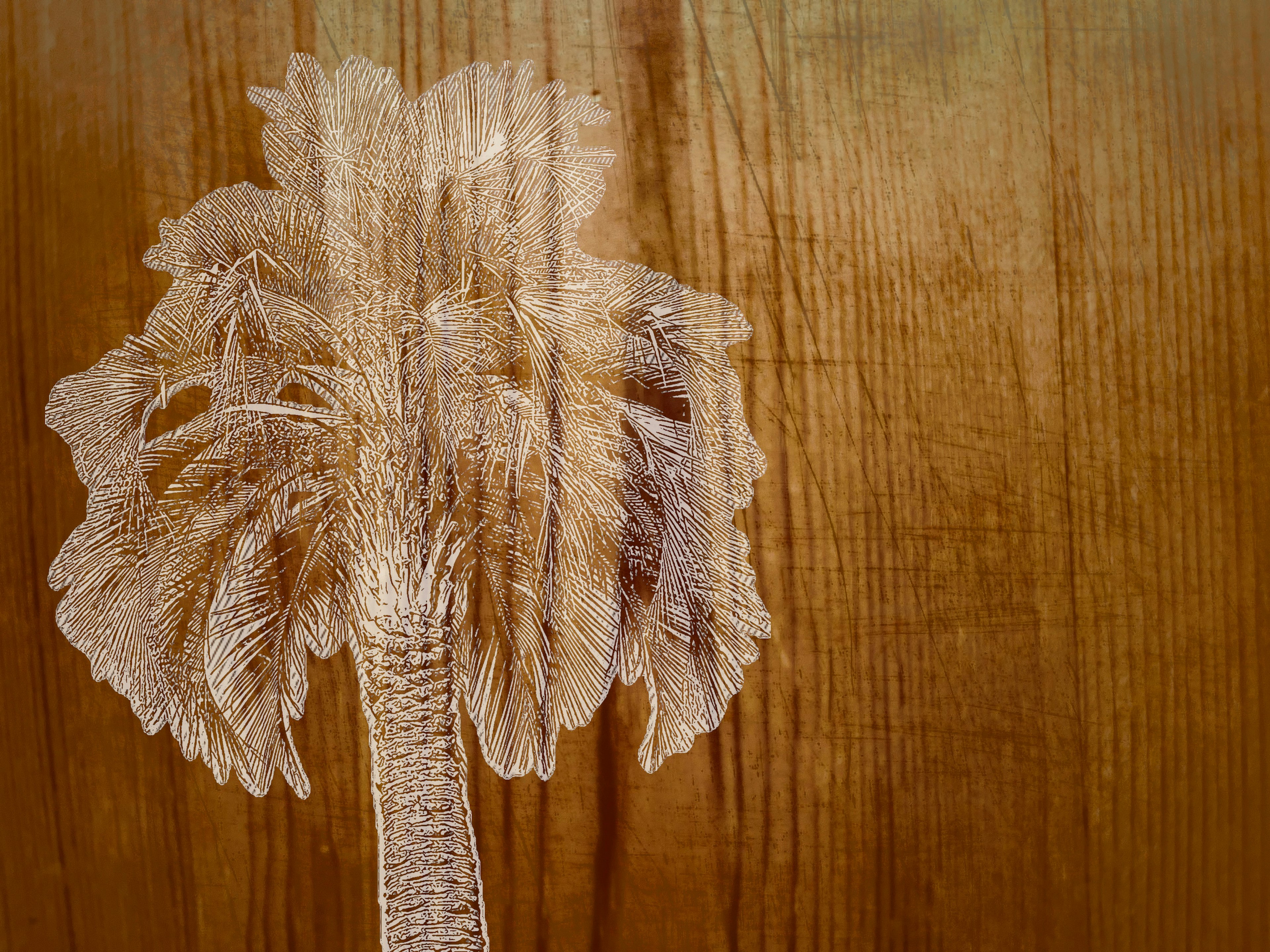 White carving of a palm tree on a wooden background