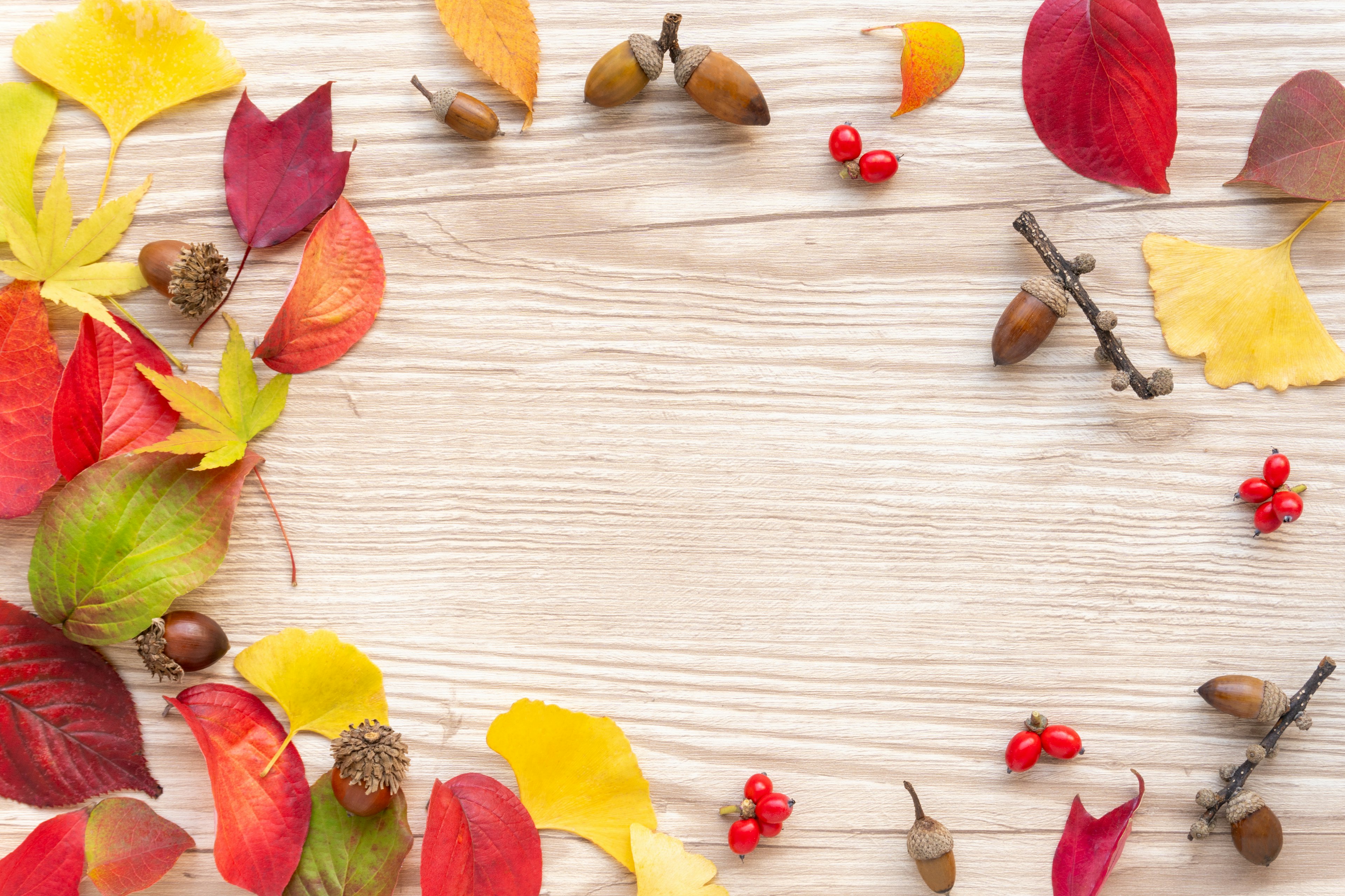 Colorful autumn leaves and acorns arranged on a wooden surface