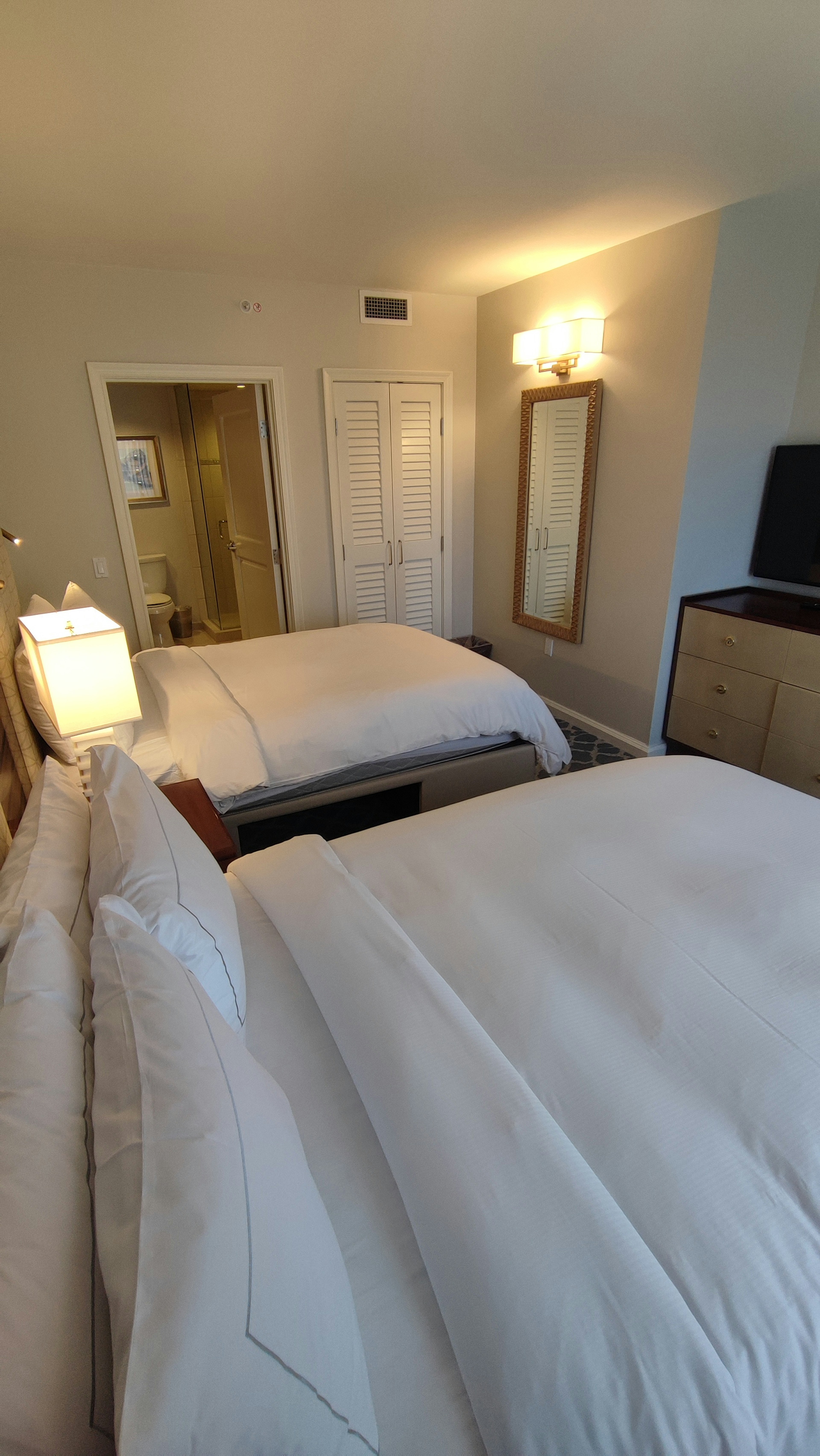 Brightly lit bedroom featuring two beds with white bedding