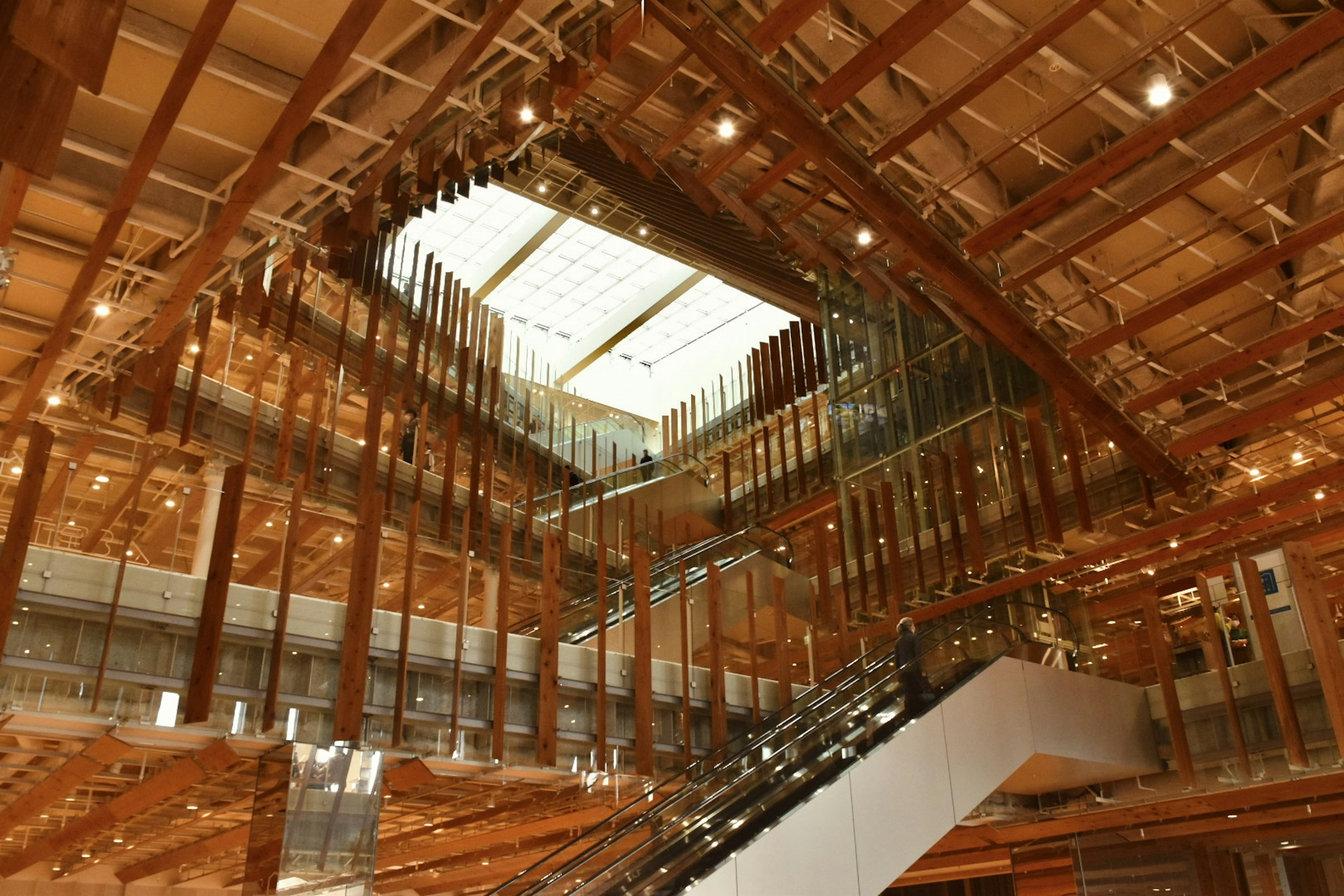 Interior of a modern building with wood and glass featuring a skylight