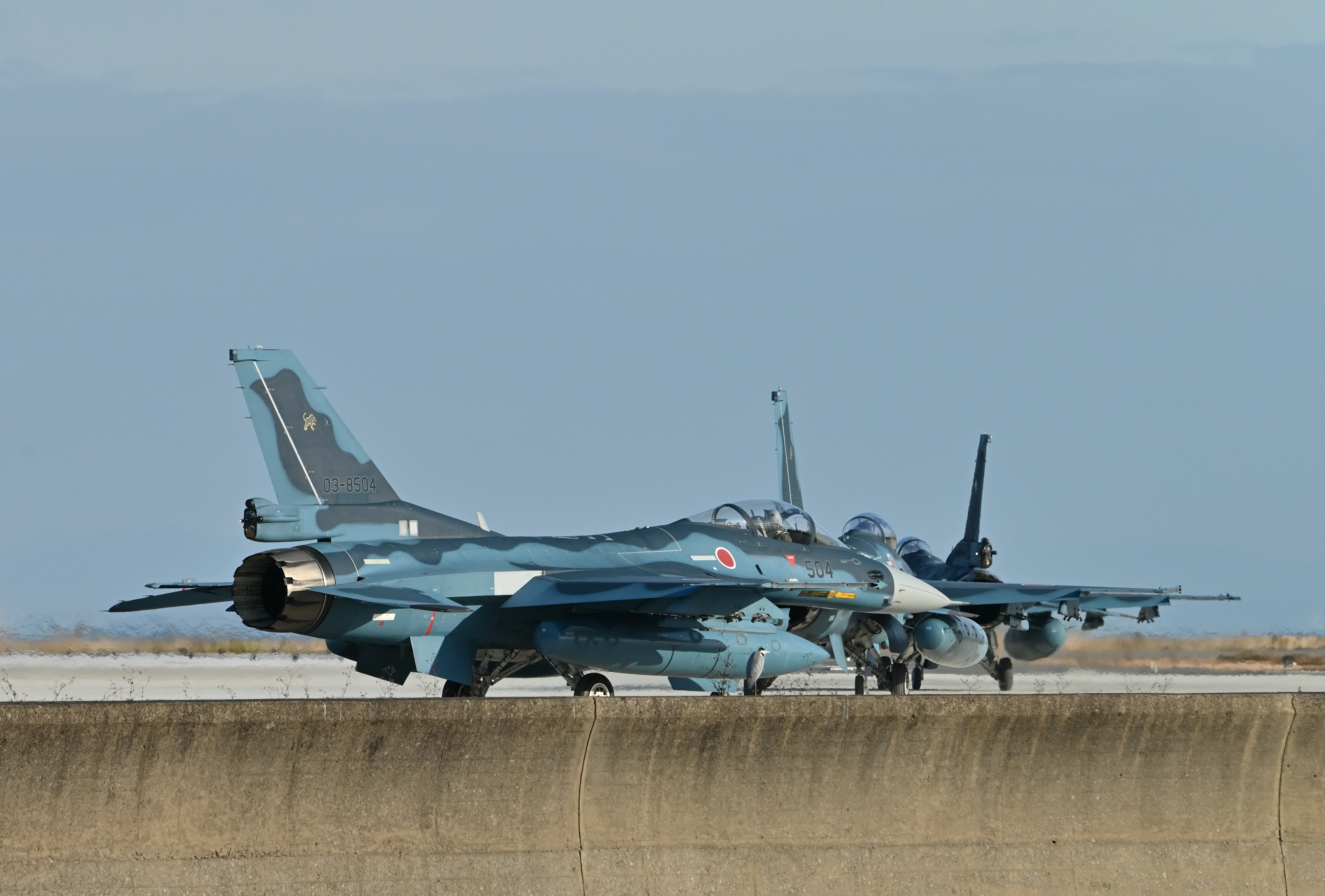 Blue painted fighter jets lined up on the runway