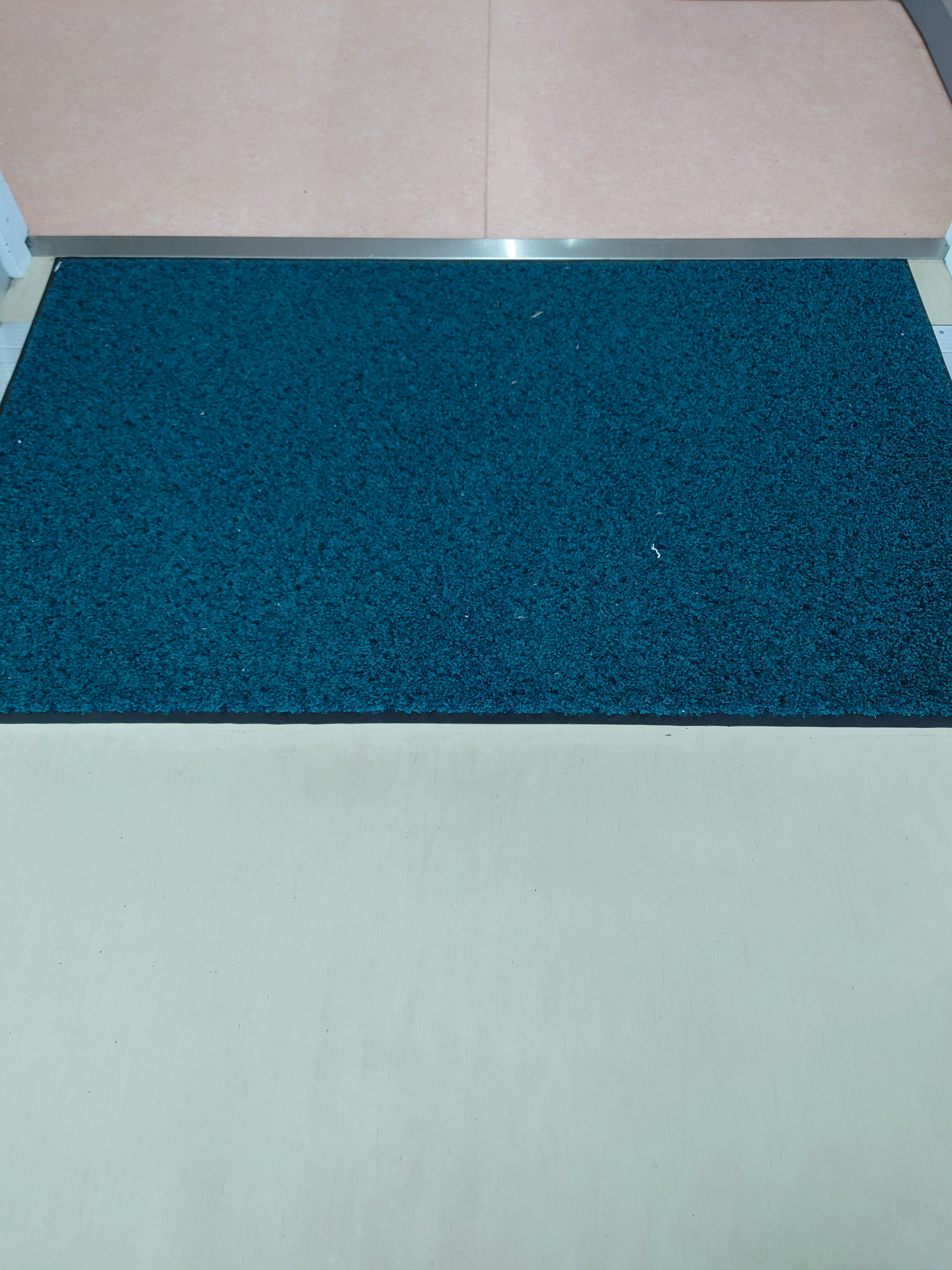 Entrance featuring a blue mat and light-colored floor