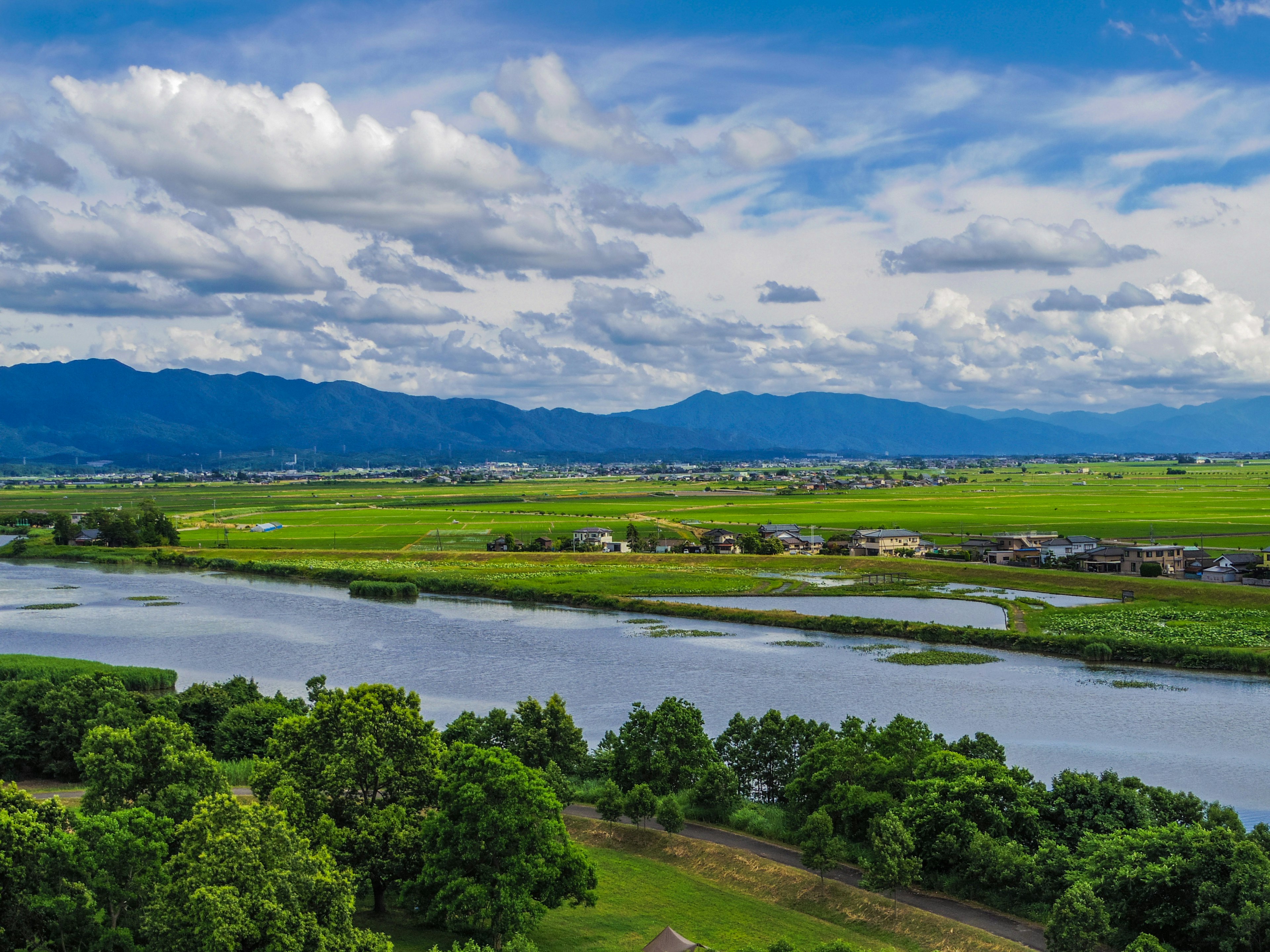 Paesaggio verdeggiante con un fiume sotto un cielo blu e nuvole bianche