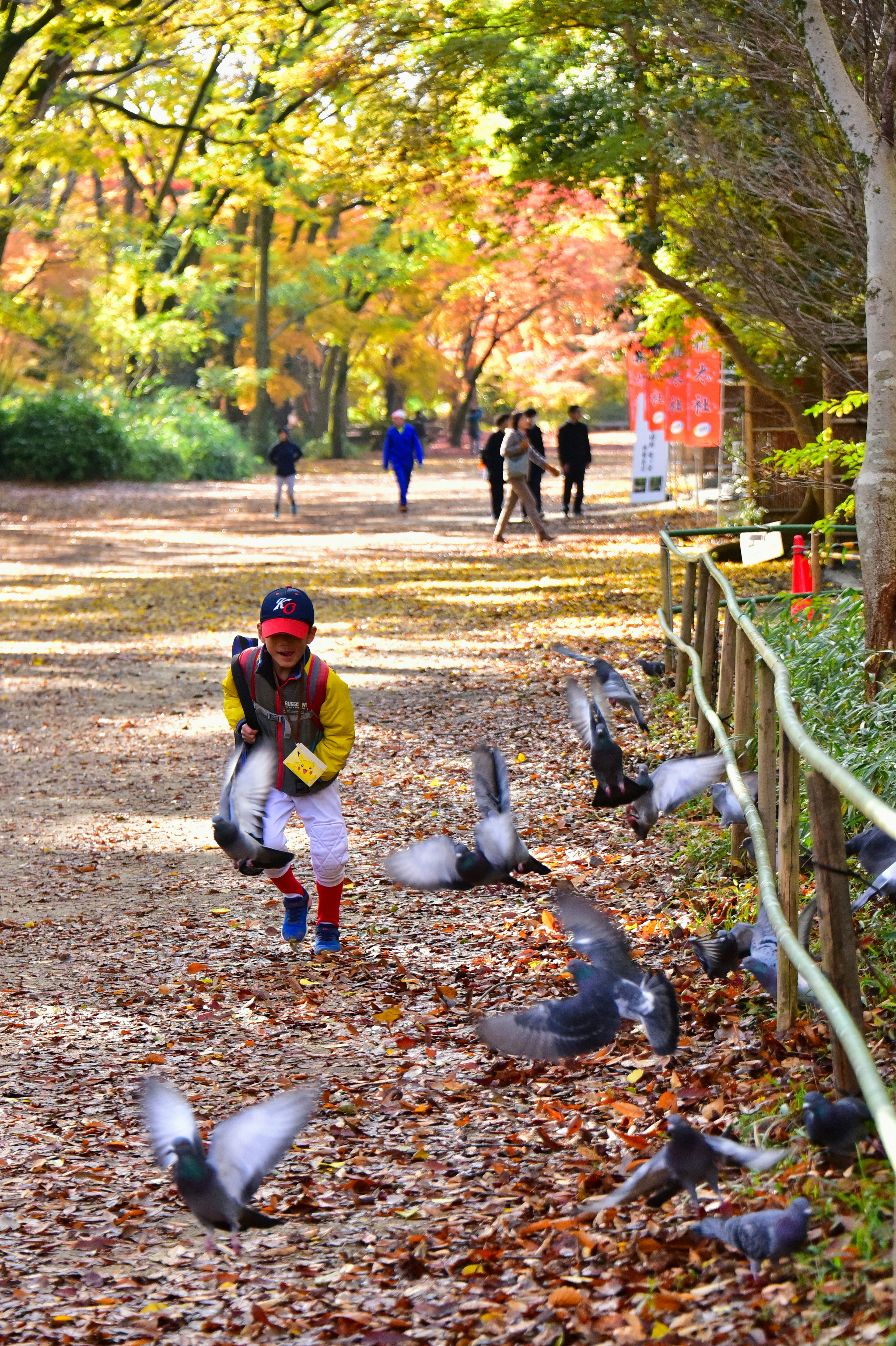 秋の公園で子供が鳩に餌をやる風景周囲には色づいた木々が並ぶ