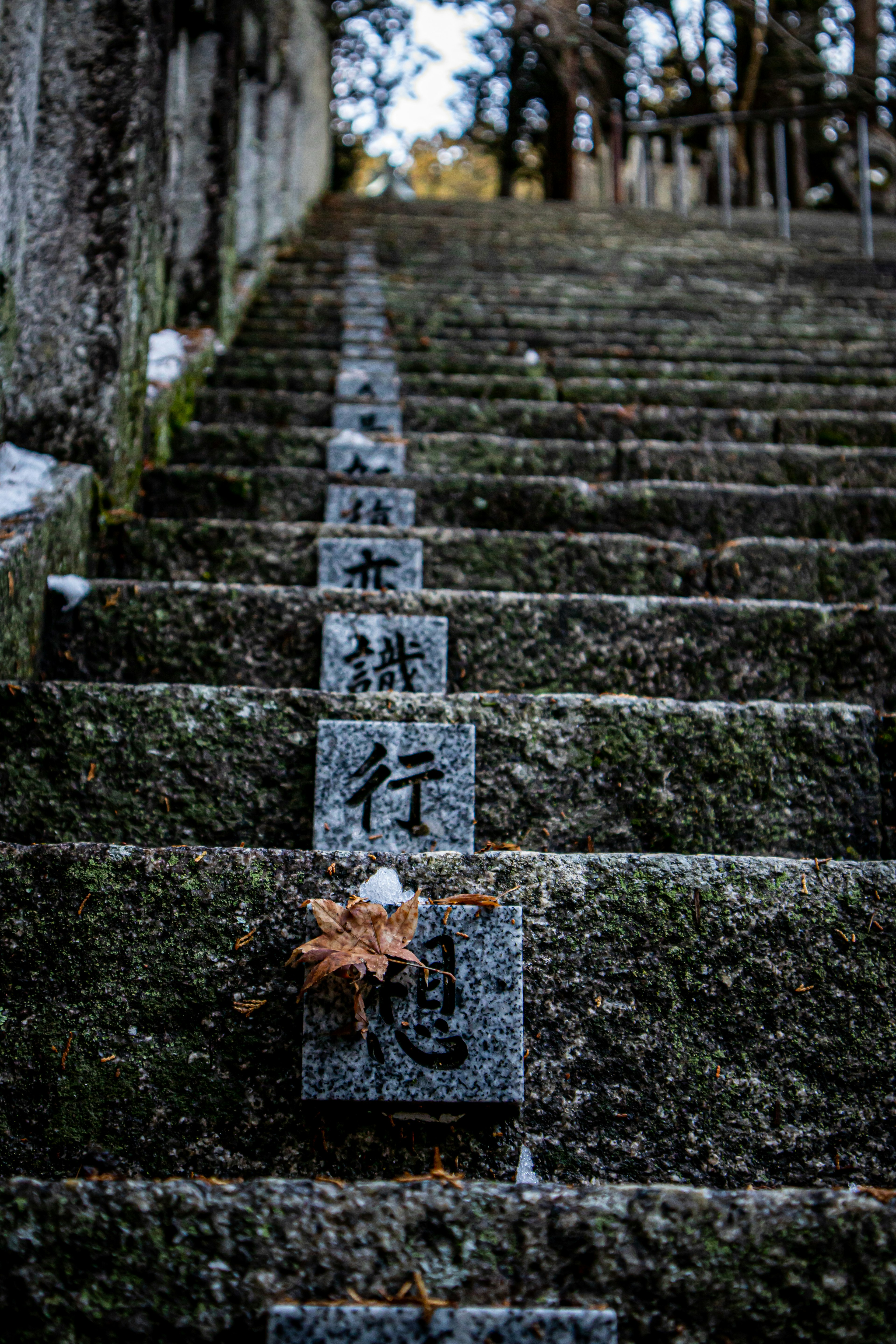 石段に刻まれた文字と落ち葉がある風景