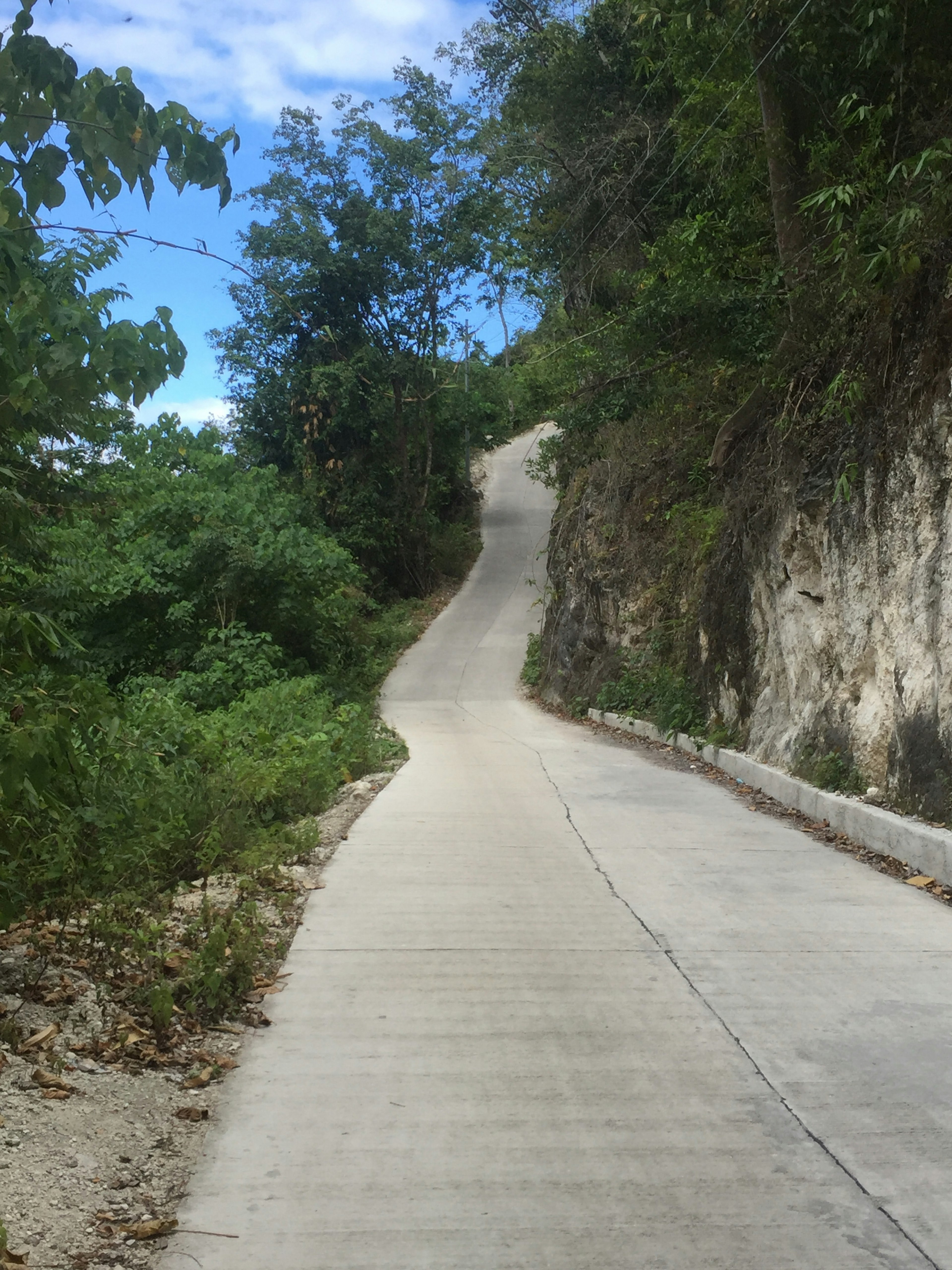 曲がりくねったコンクリート道路と周囲の緑豊かな風景