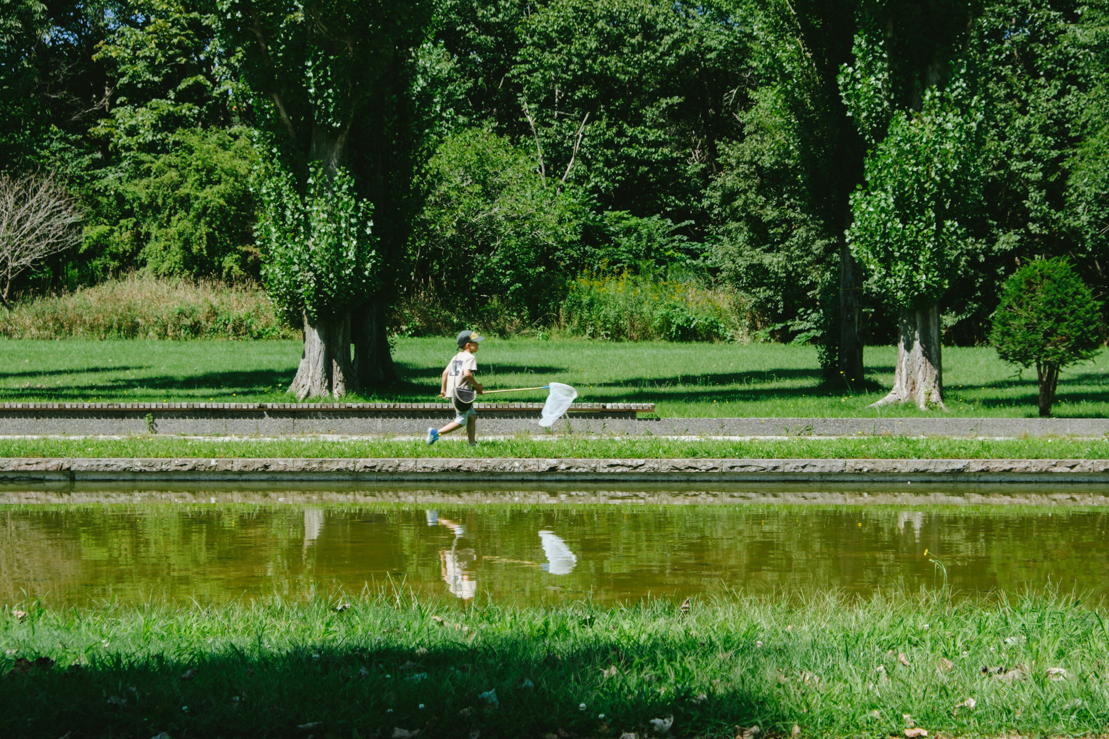 Una persona che corre vicino a uno stagno del parco con riflessi visibili nell'acqua e vegetazione lussureggiante