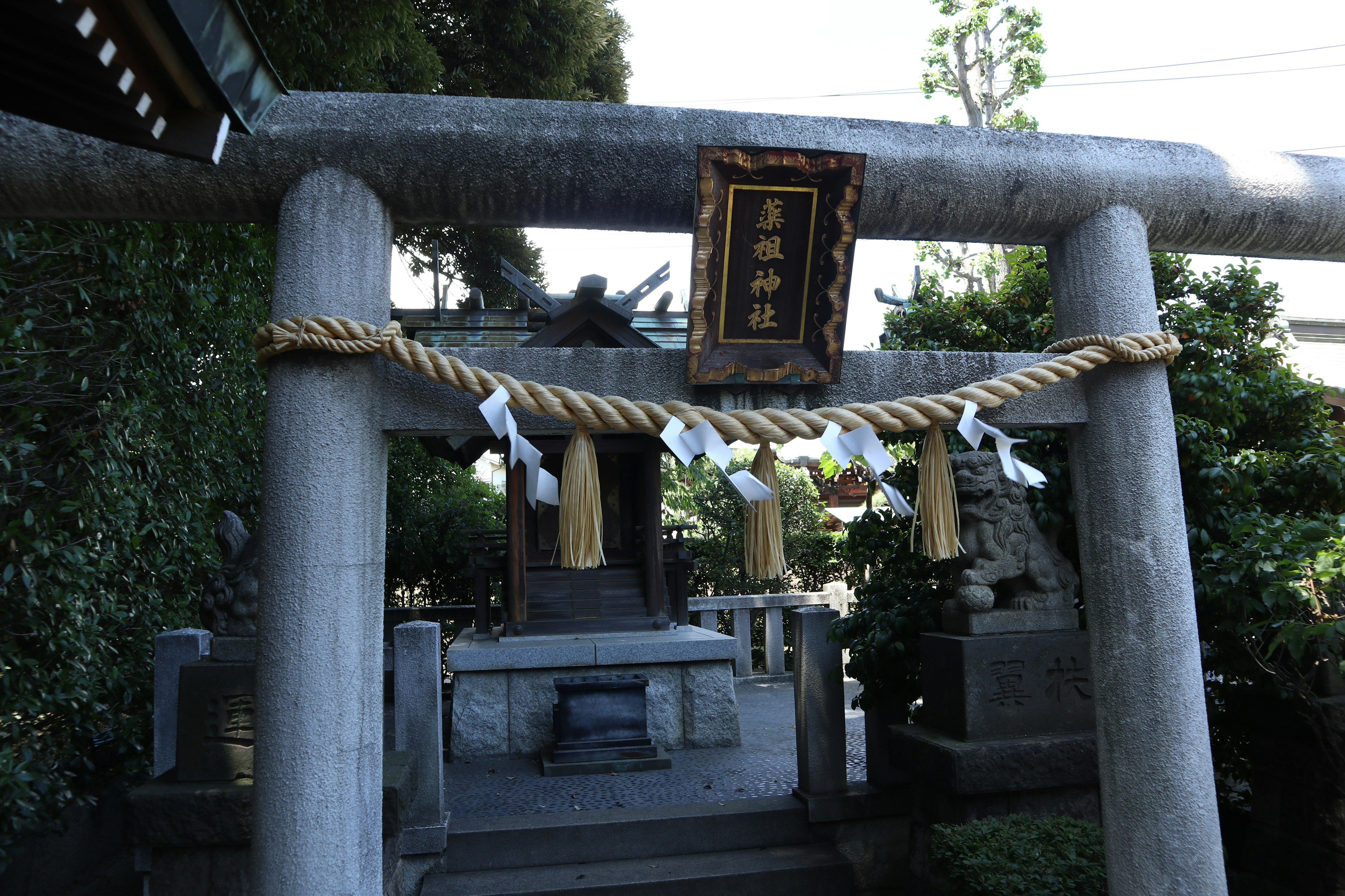 Escena de puerta torii y santuario con una placa y shimenawa visibles