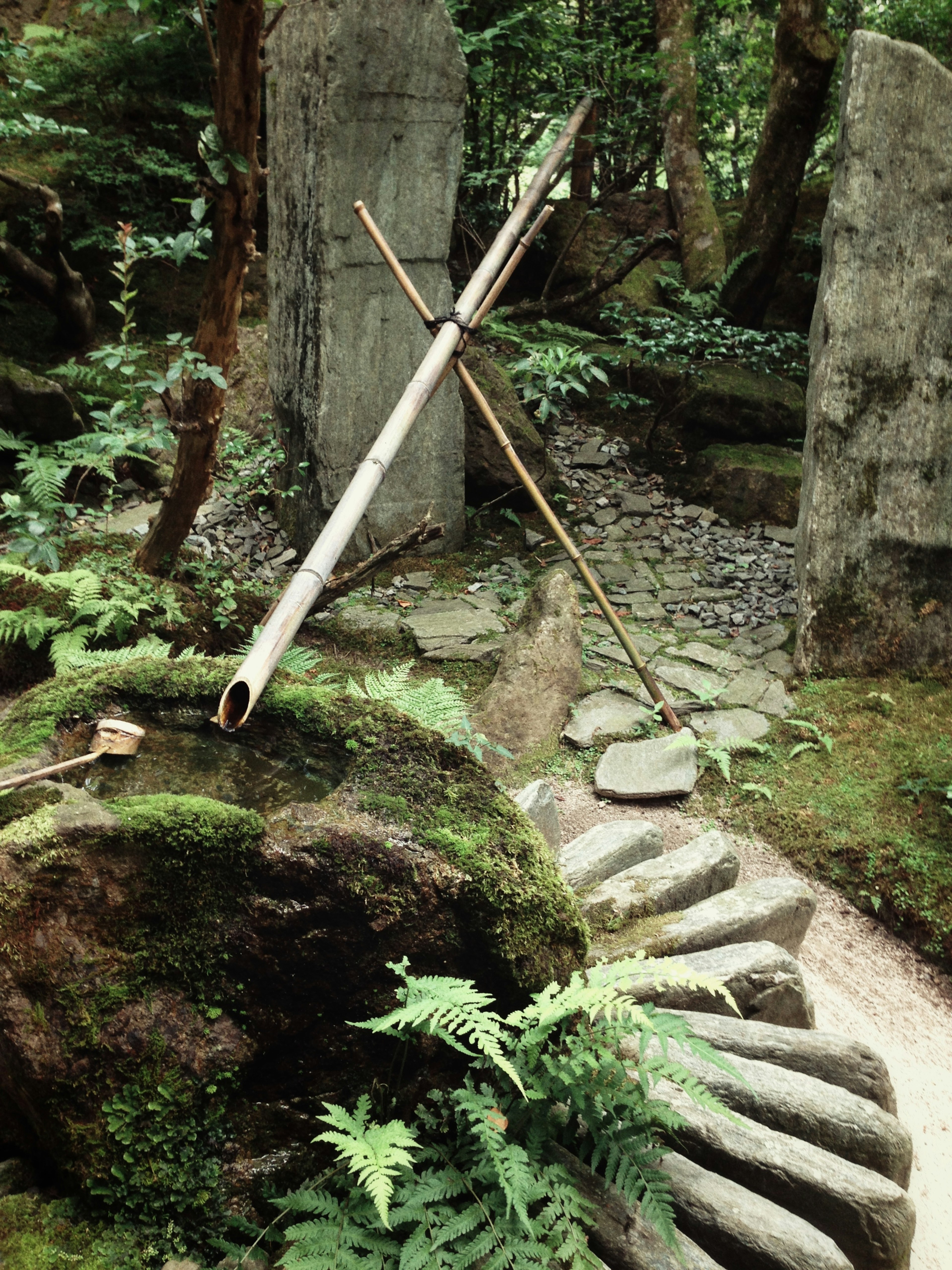 Une scène de jardin sereine avec des rochers couverts de mousse et une verdure luxuriante avec un poteau en bambou appuyé