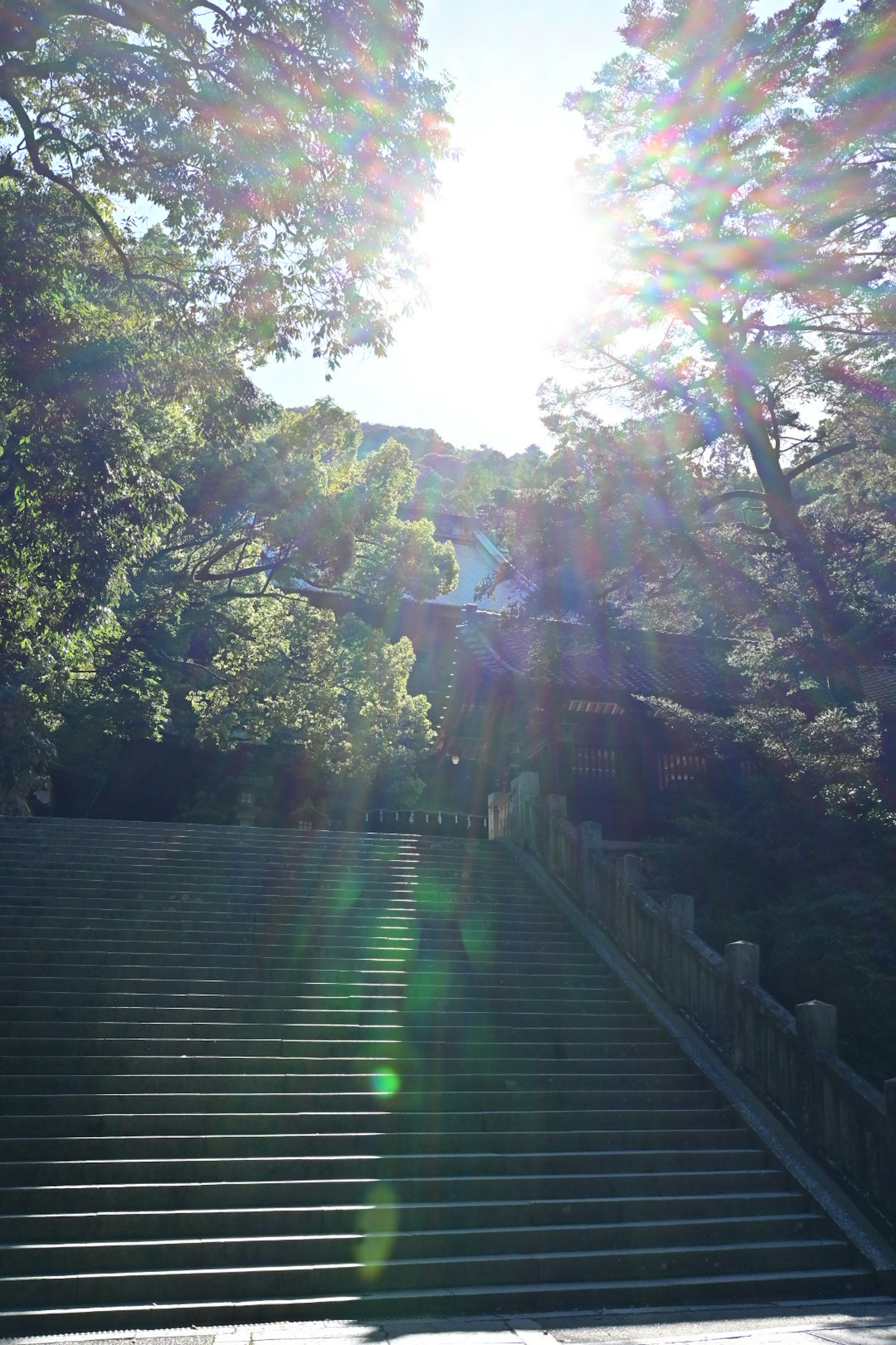 階段と木々がある風景の写真で、太陽光が明るく照らしている