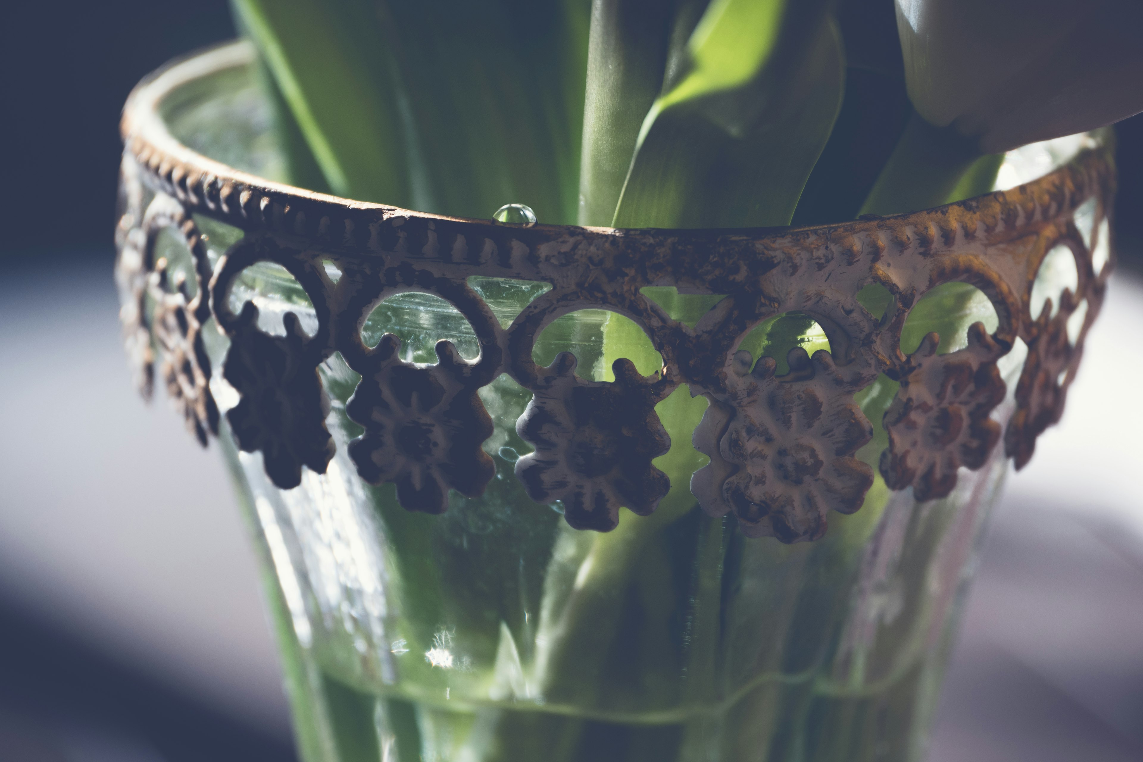 Decorative metal rim on a vase with green leaves visible