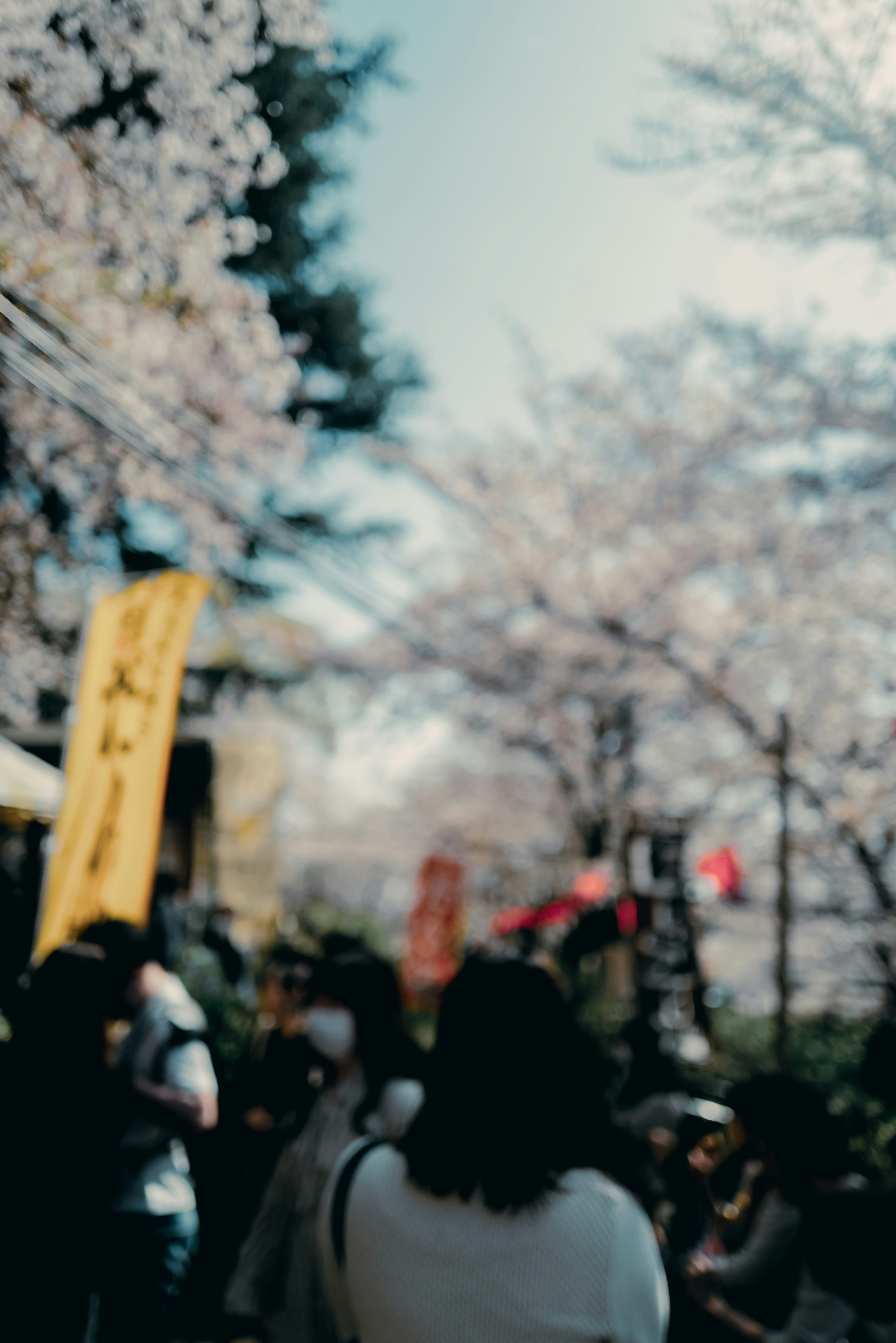 桜の木の下で人々が集まる風景にぼやけた看板