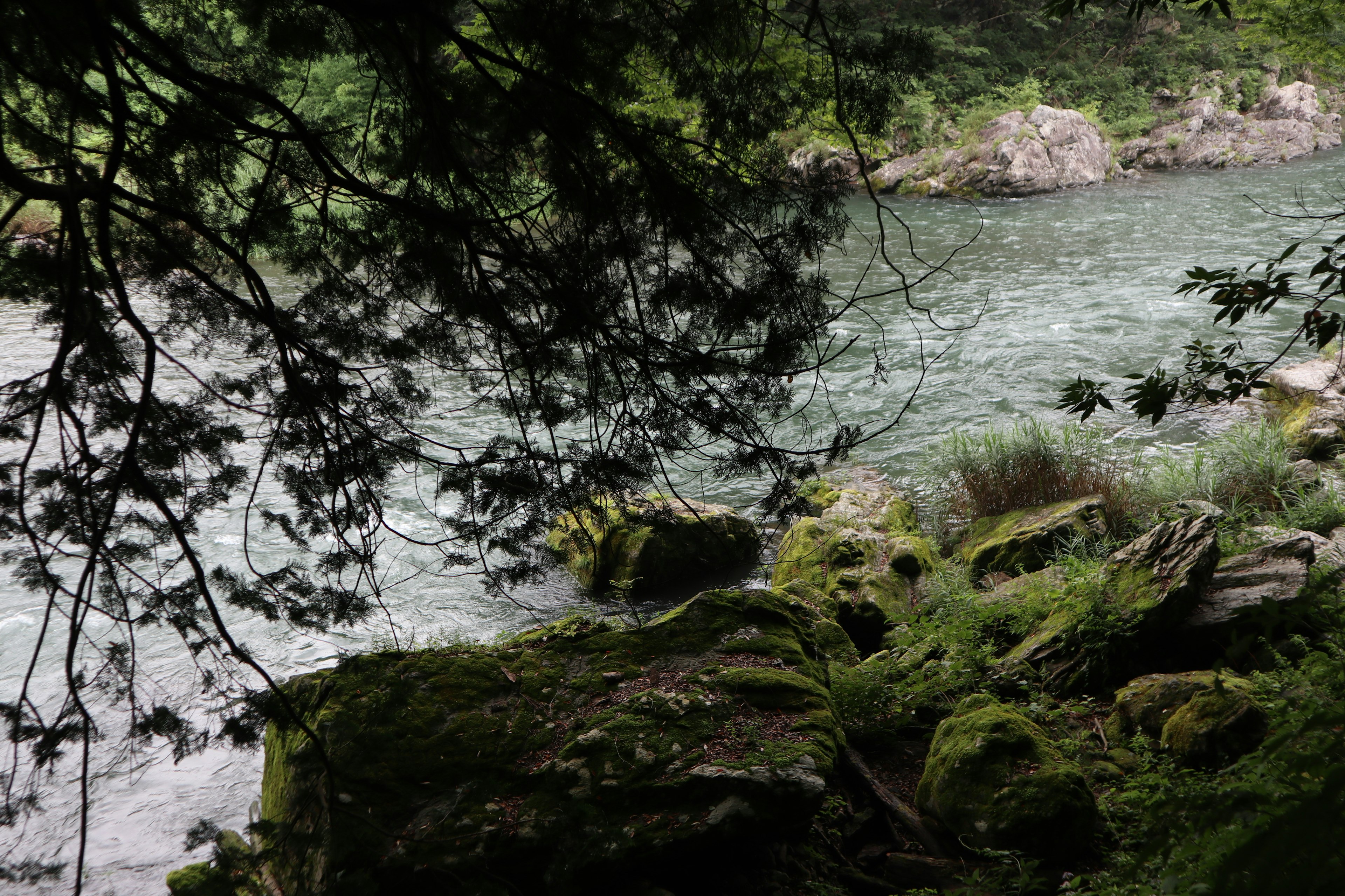 Scenic view of a river flowing past moss-covered rocks and greenery