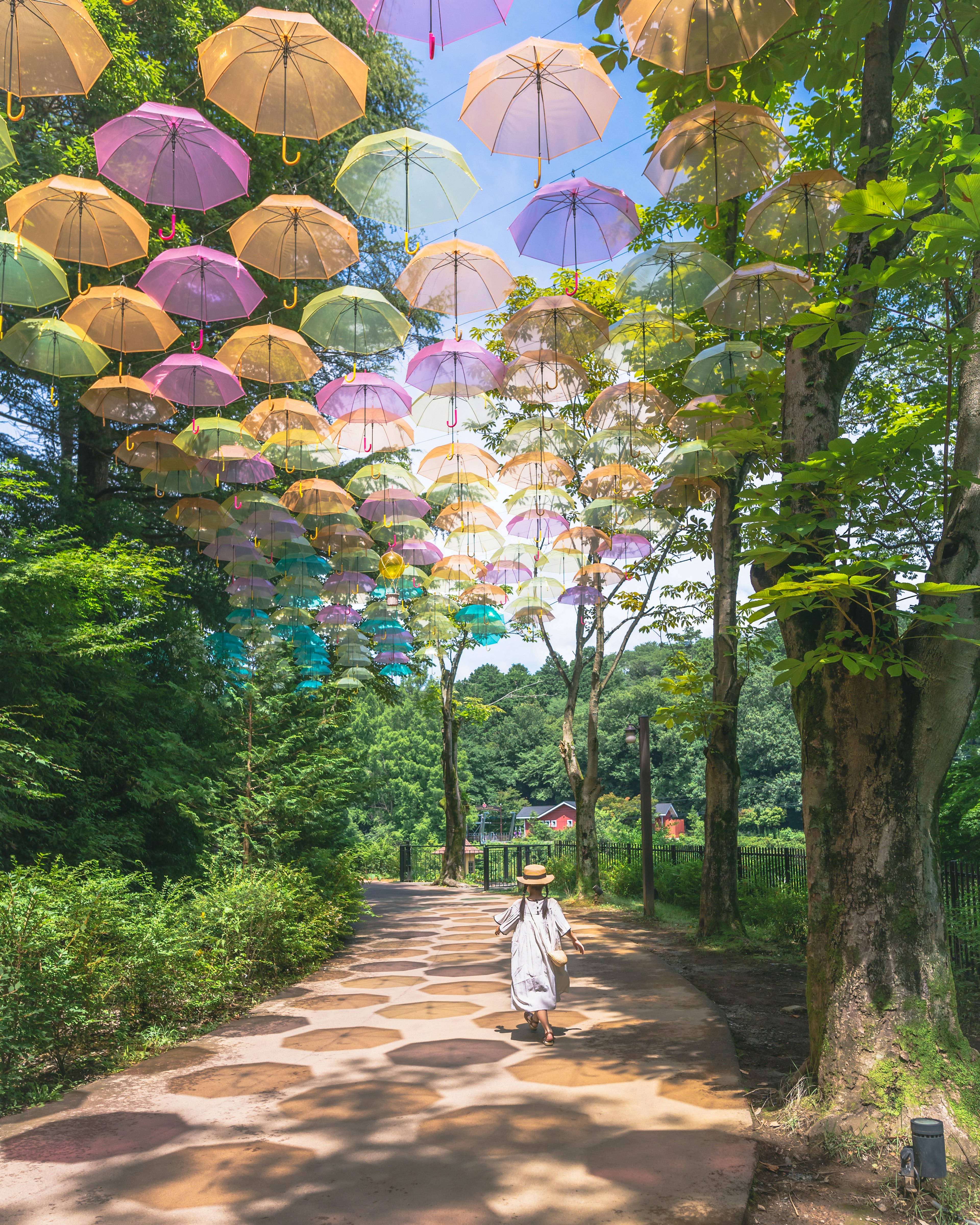 色とりどりの傘が空に吊るされた森の小道を歩く人