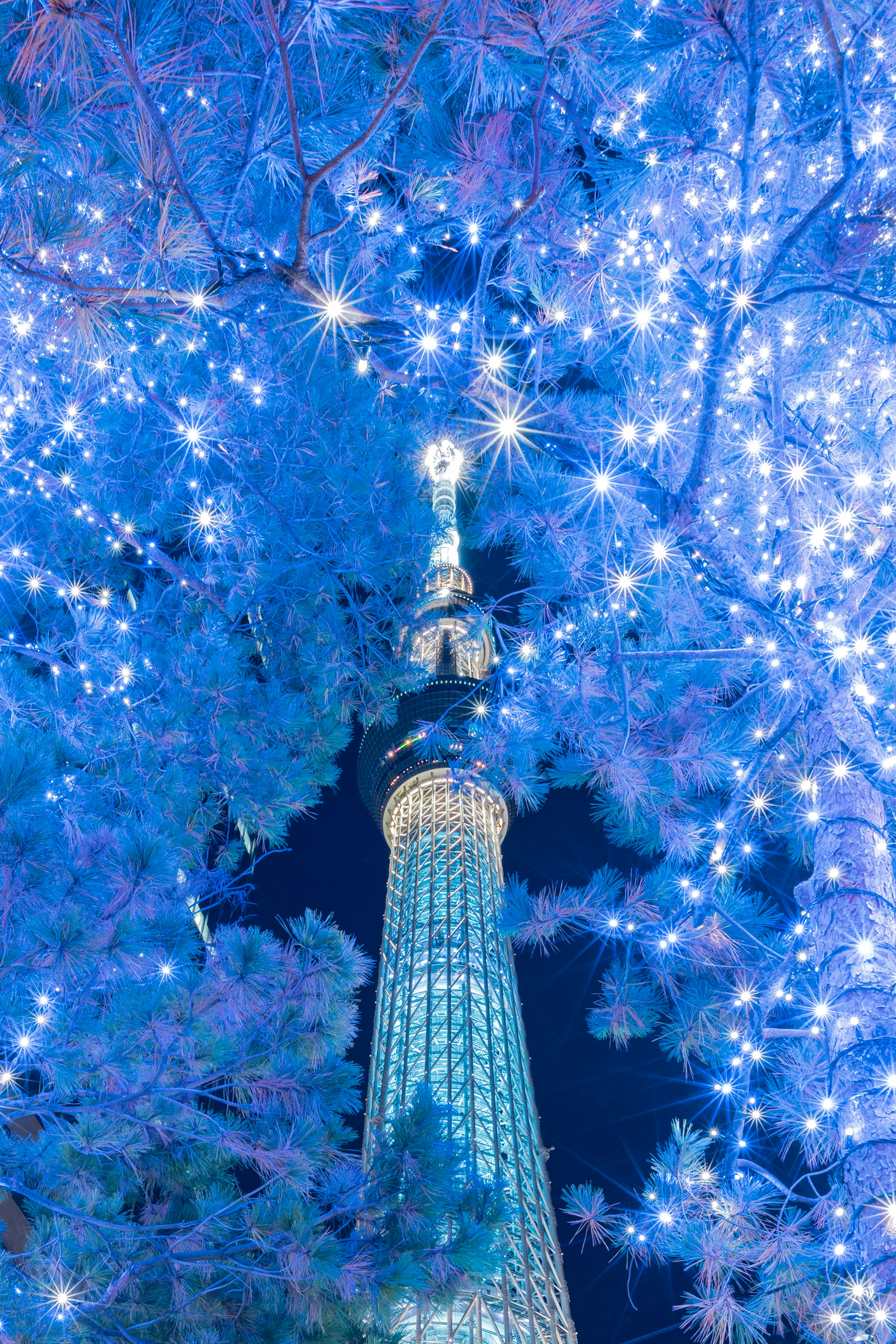 Tokyo Skytree illuminato di notte circondato da luci blu