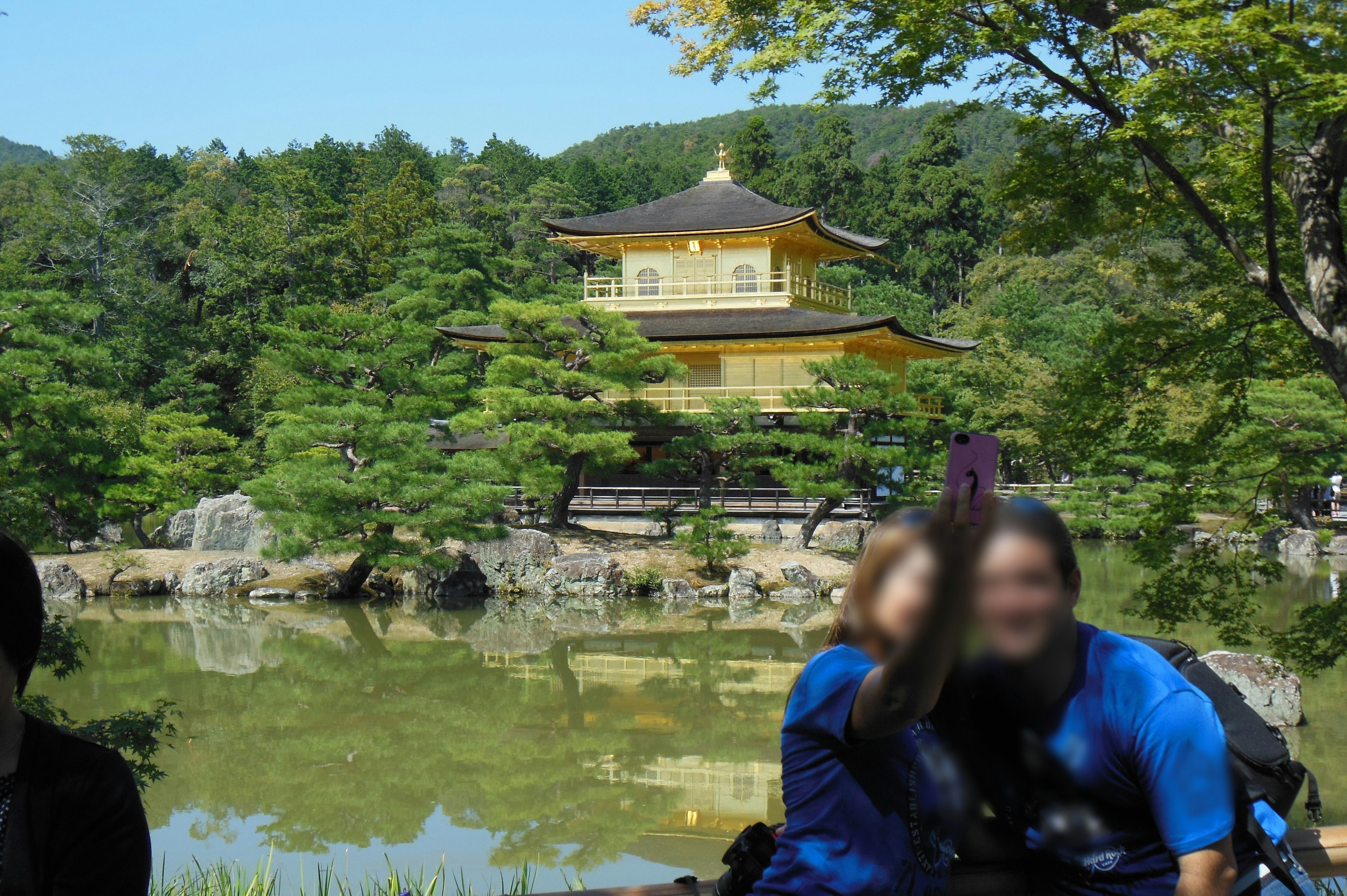 Khung cảnh đẹp của Kinkaku-ji với cây cối xanh tươi