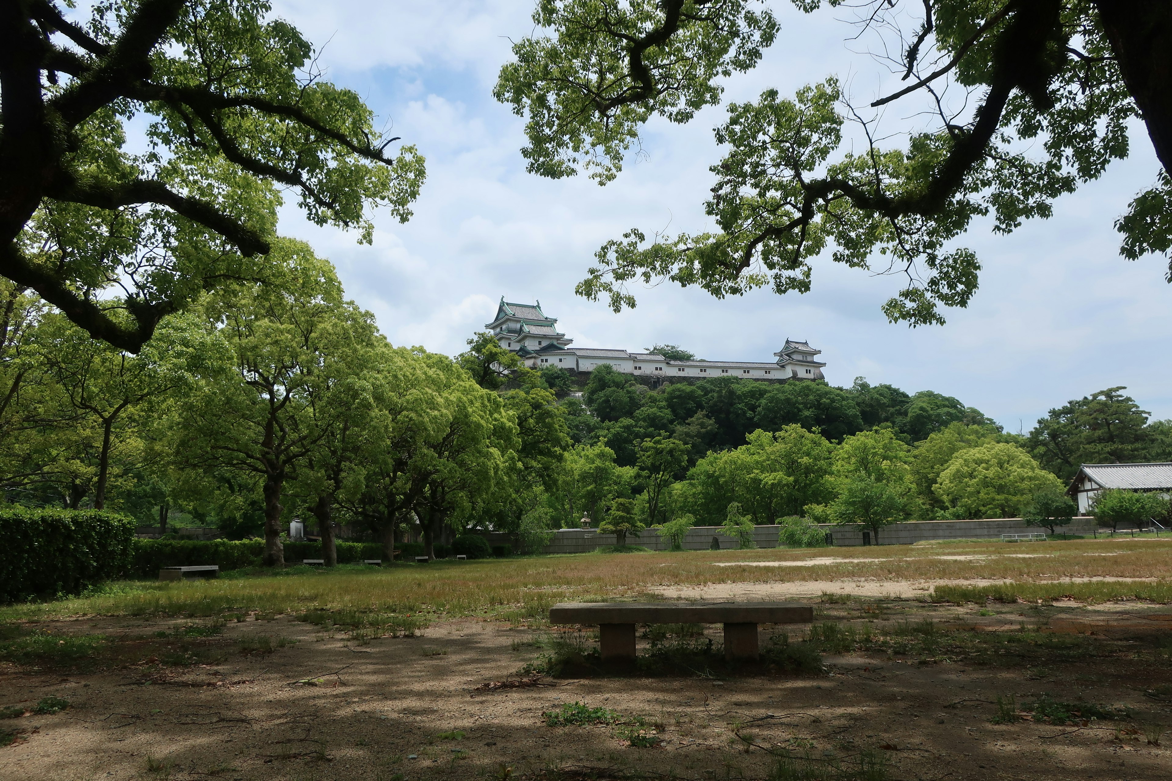 Vue d'un château entouré d'arbres verts depuis une zone herbeuse