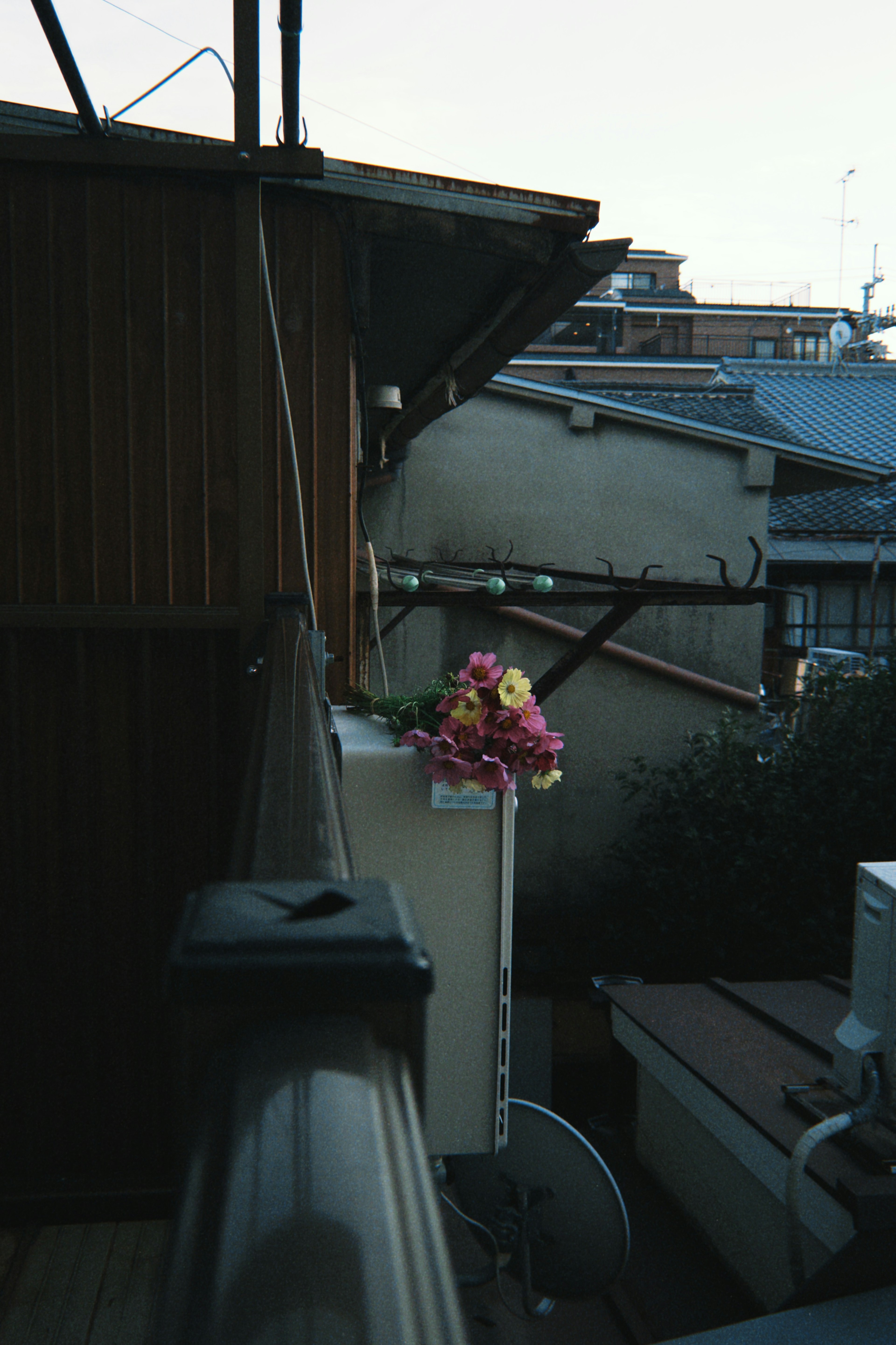 Pot de fleurs placé sur un balcon entre des vieux bâtiments