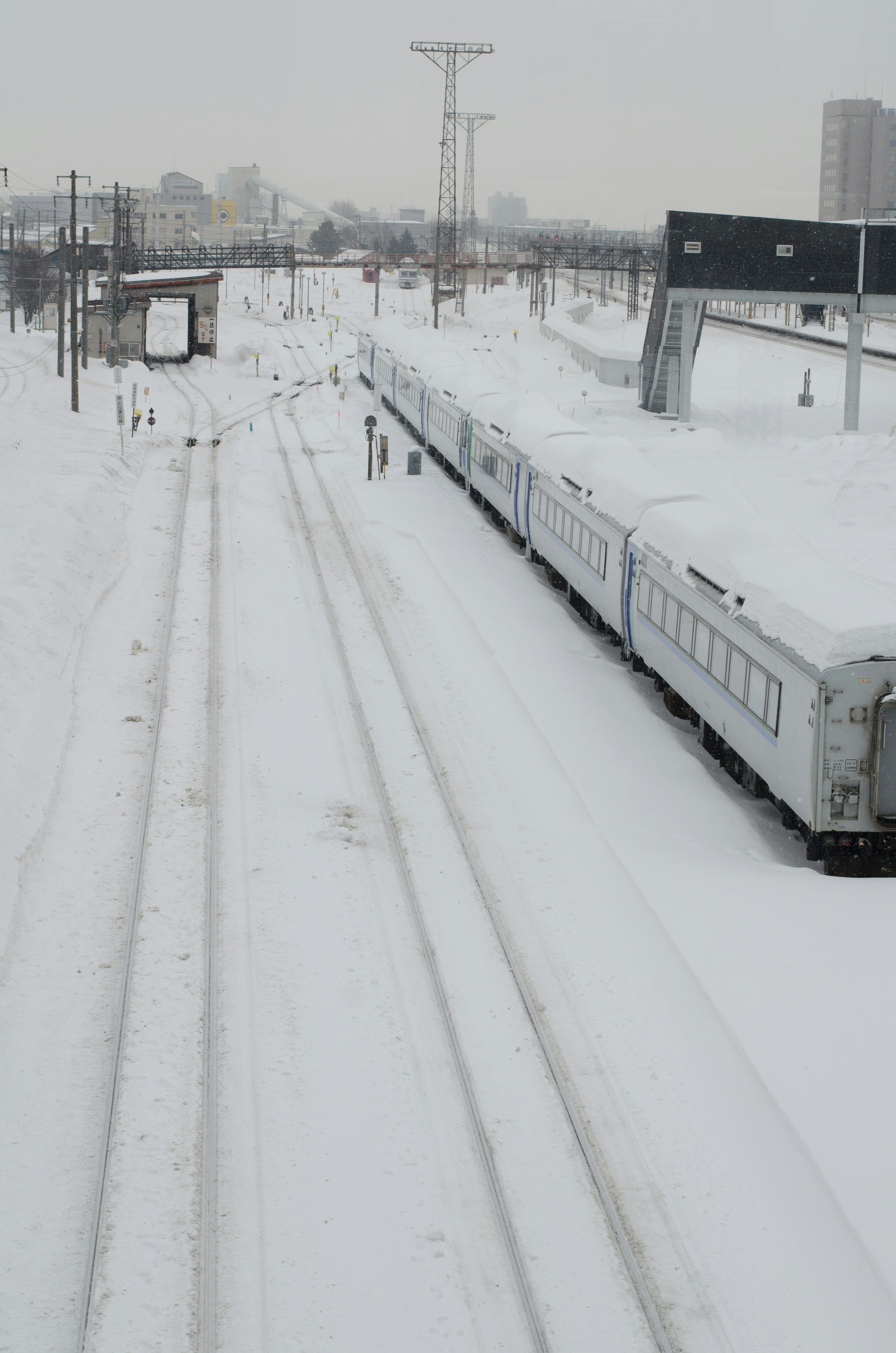 被雪覆盖的铁路轨道和火车