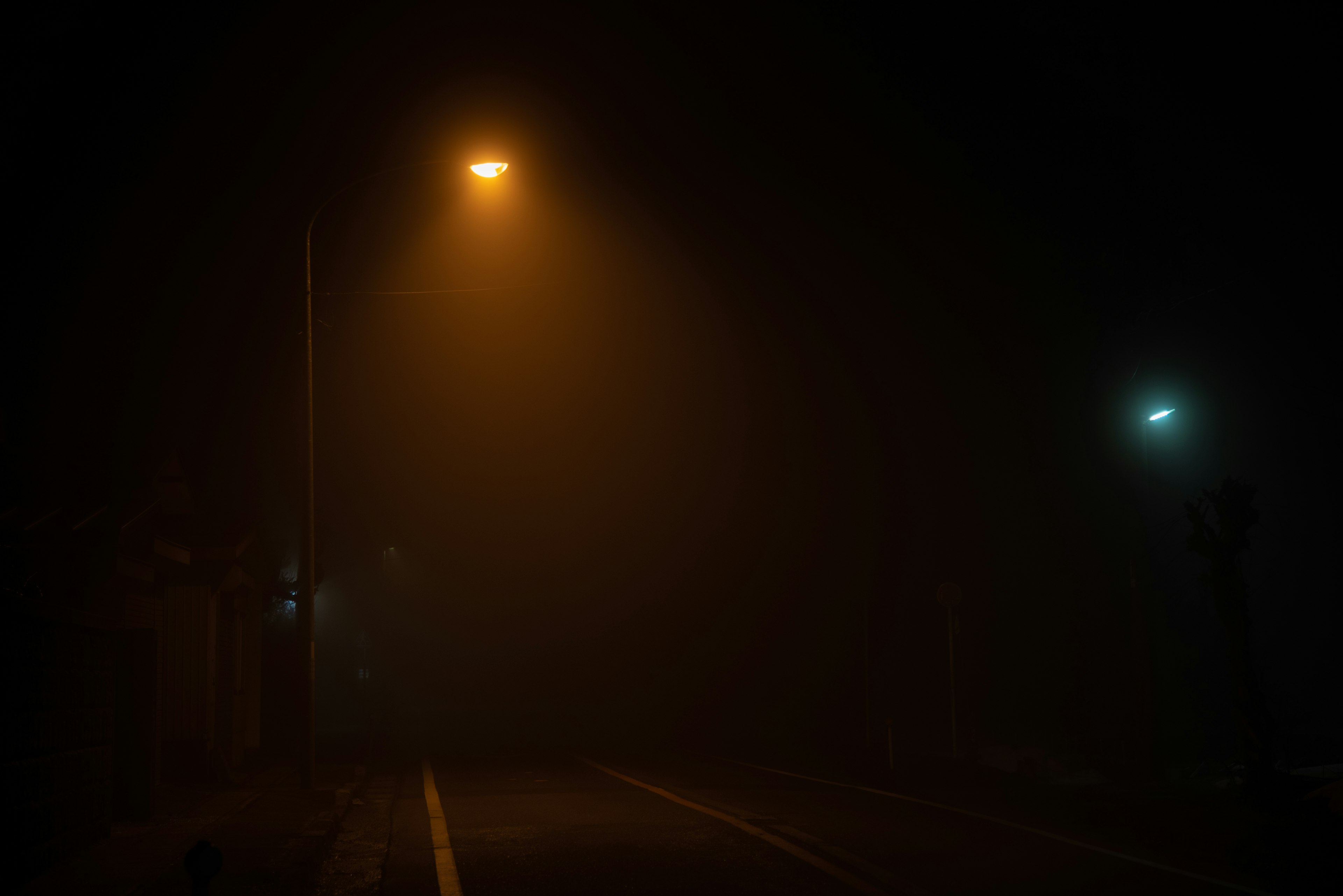 Road illuminated by streetlights in foggy conditions