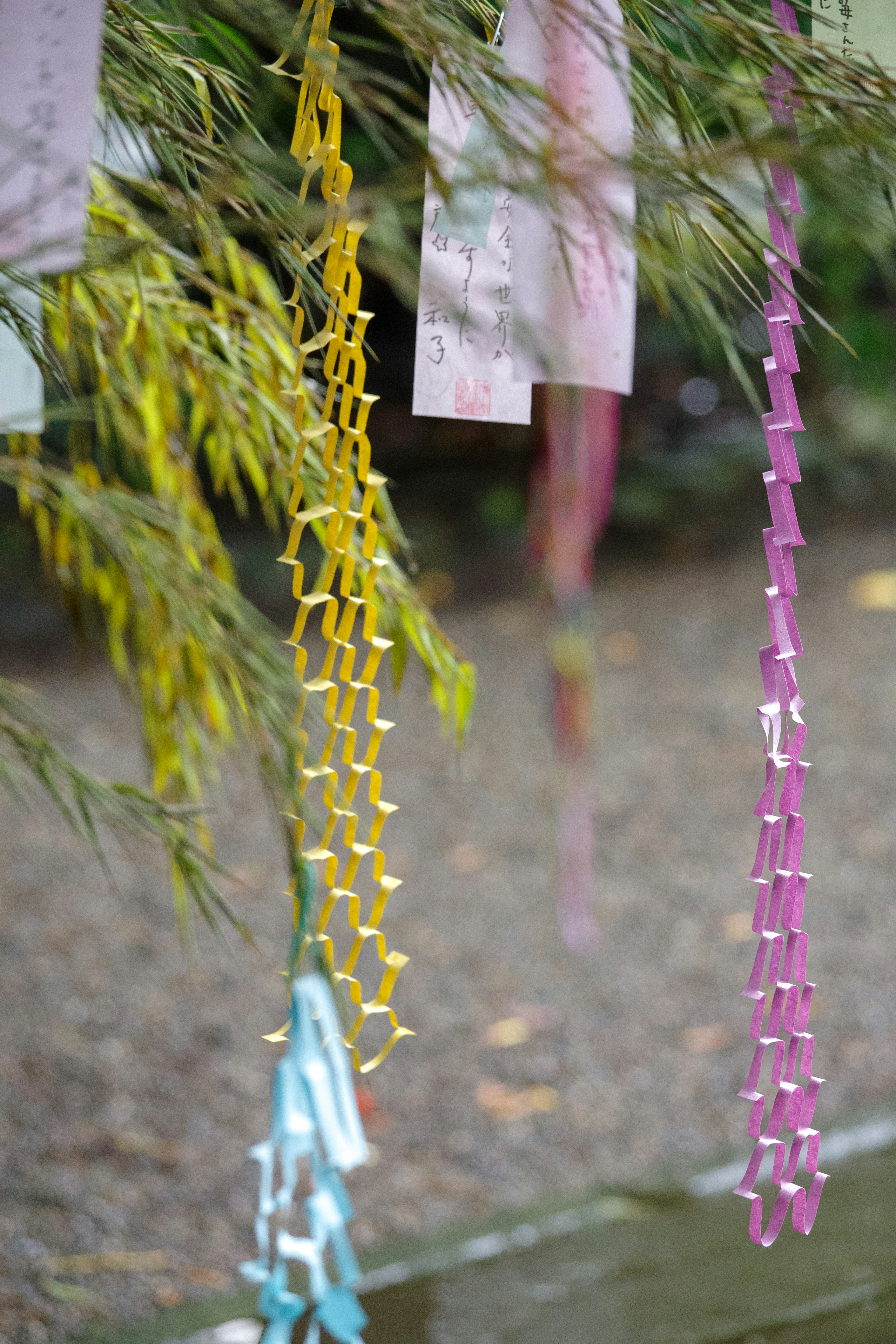 Gros plan sur des décorations colorées suspendues à une branche d'arbre