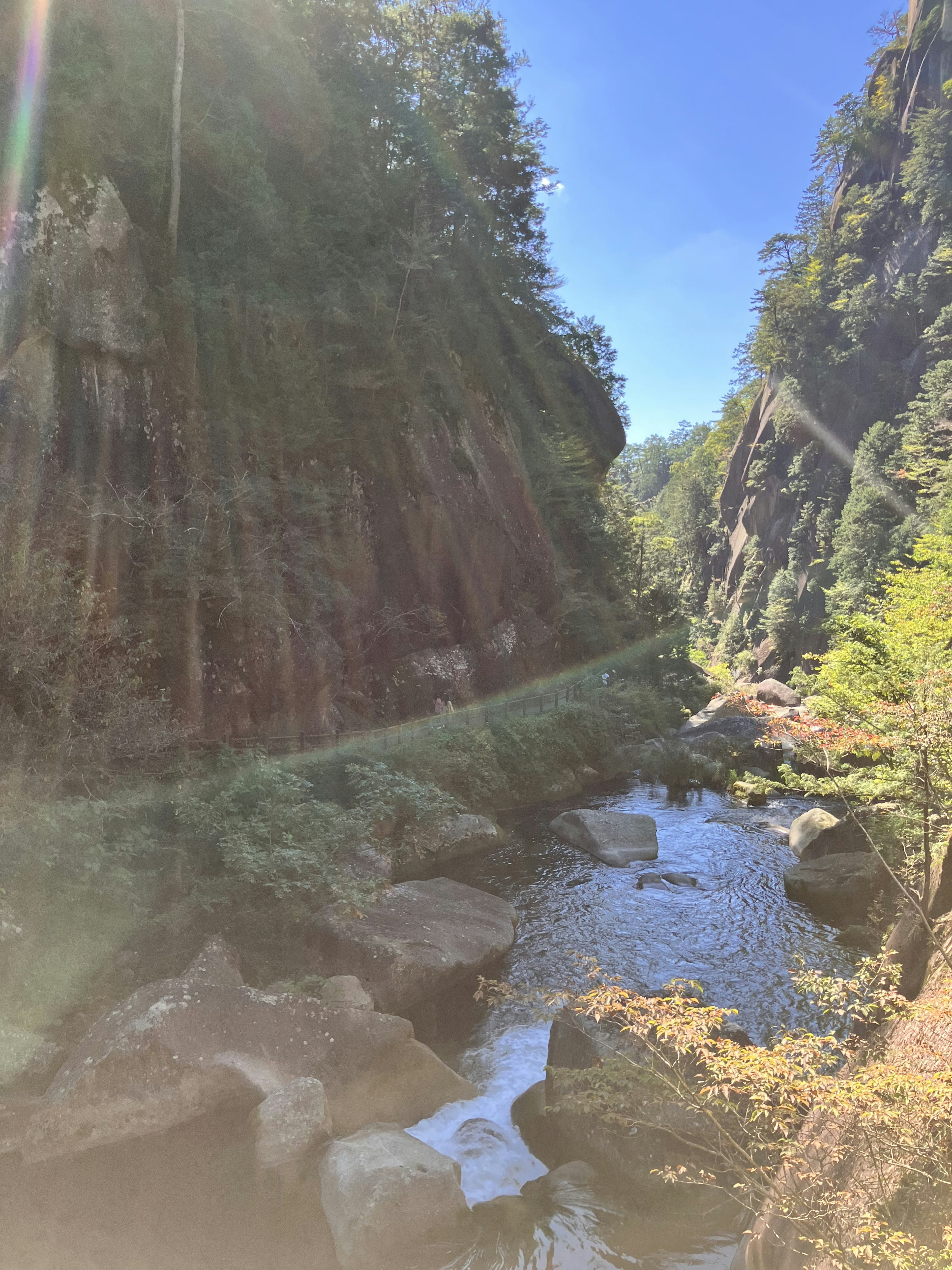 郁郁蔥蔥的山谷和流淌的小溪陽光透過