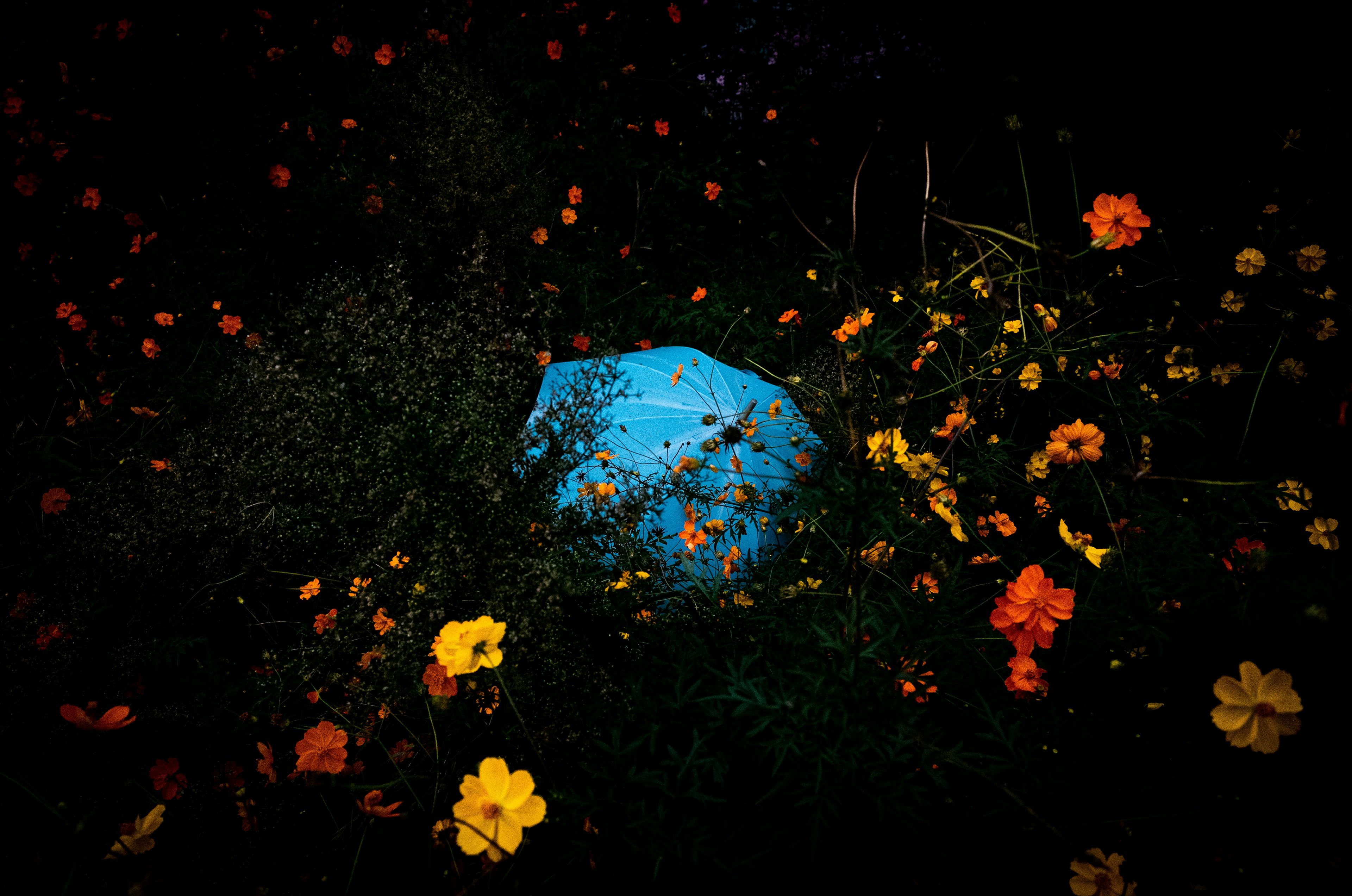 A blue stone surrounded by colorful flowers in a night setting