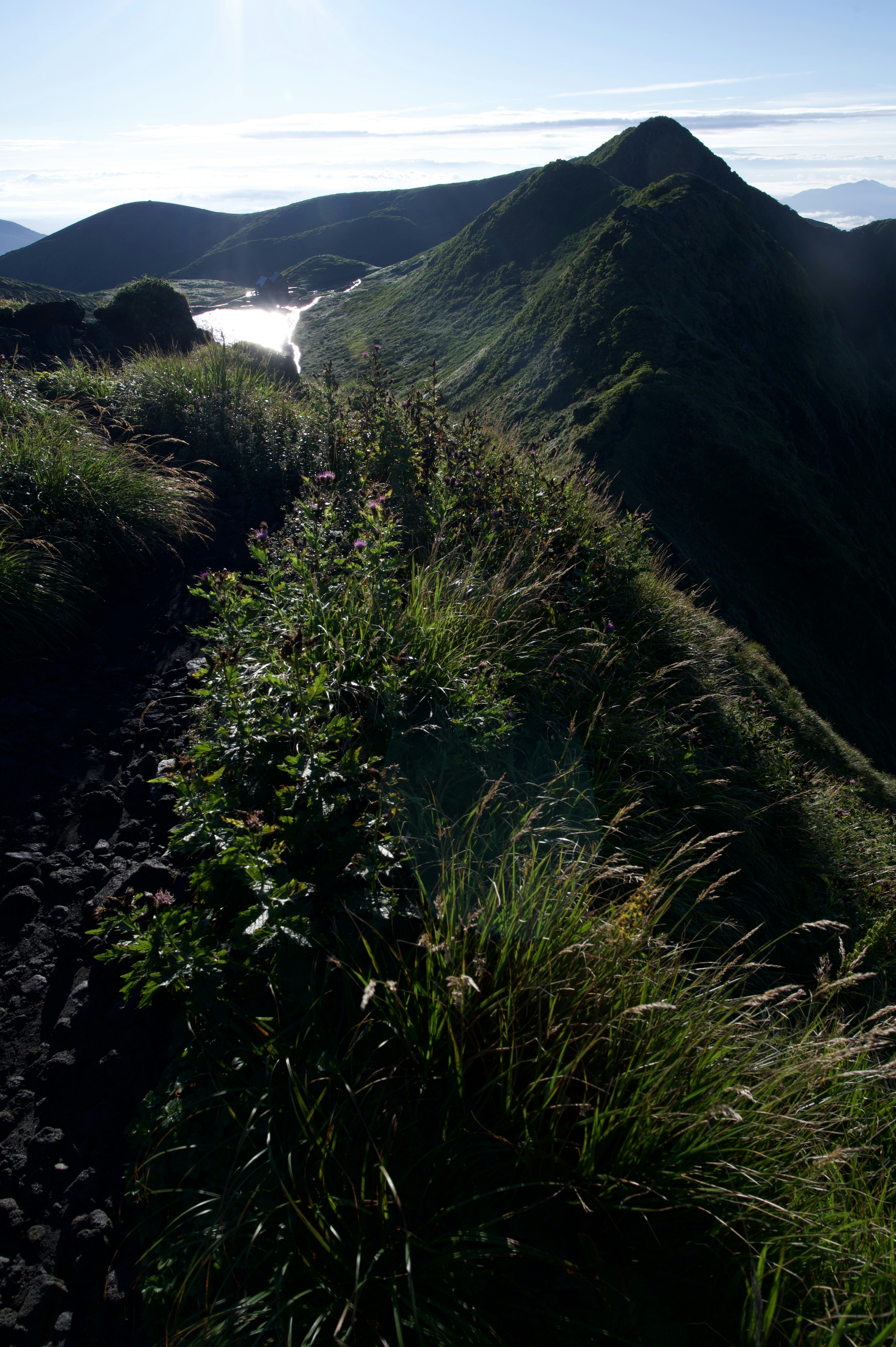 Bergpfad gesäumt von grünem Gras und Blick auf einen See in der Ferne