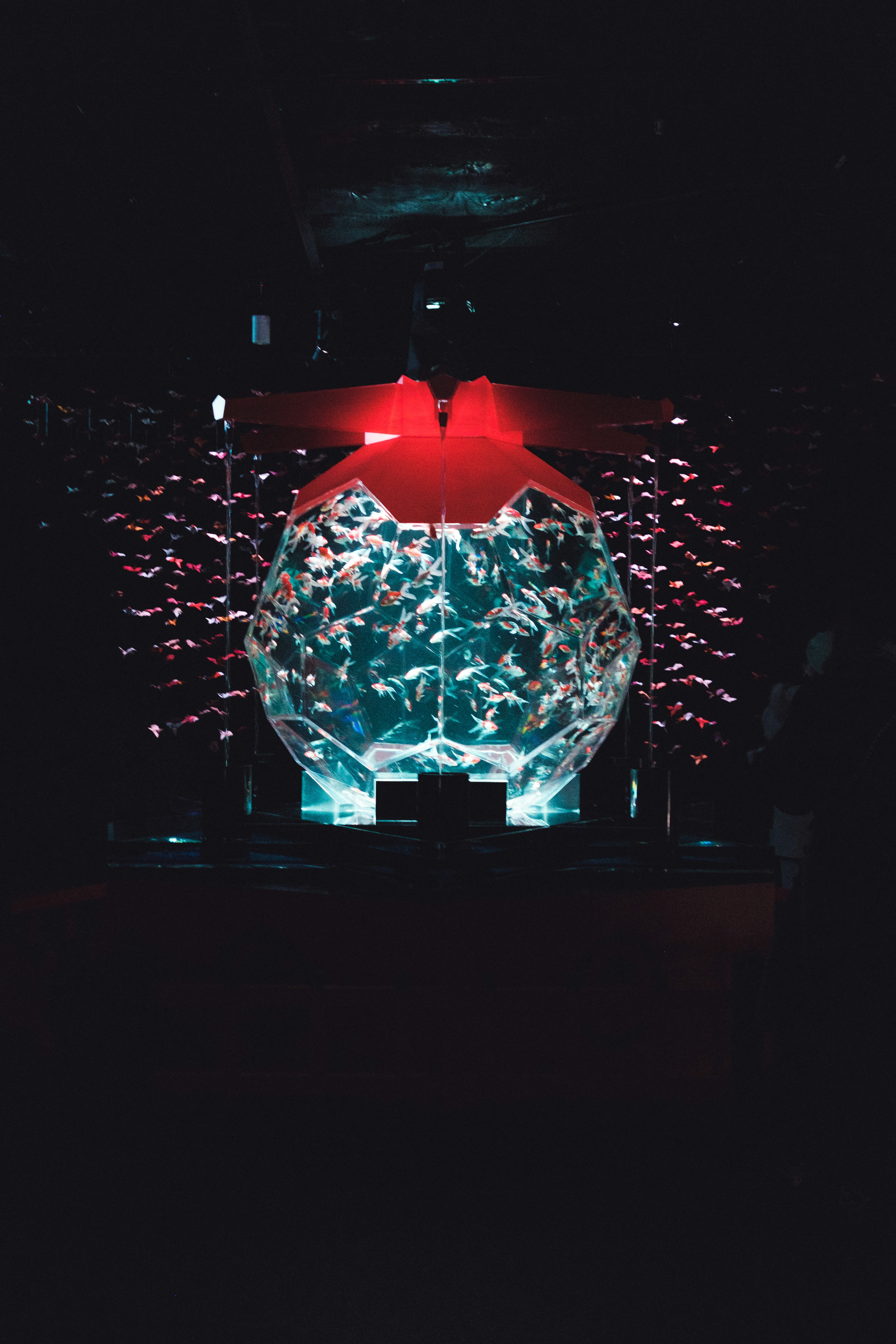 A red object and a globe-like structure with water effects against a dark background