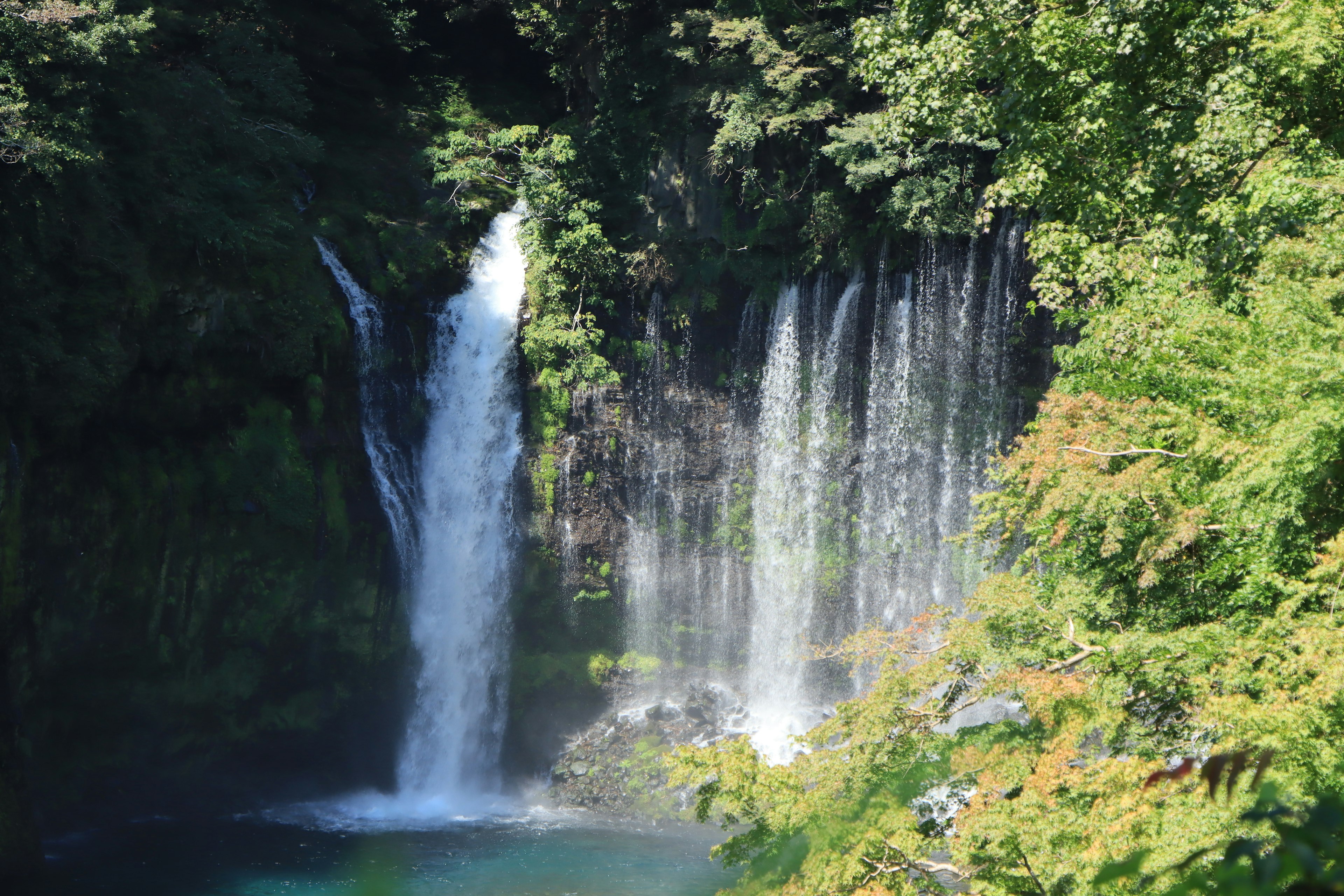 緑豊かな森の中にある滝の美しい景観