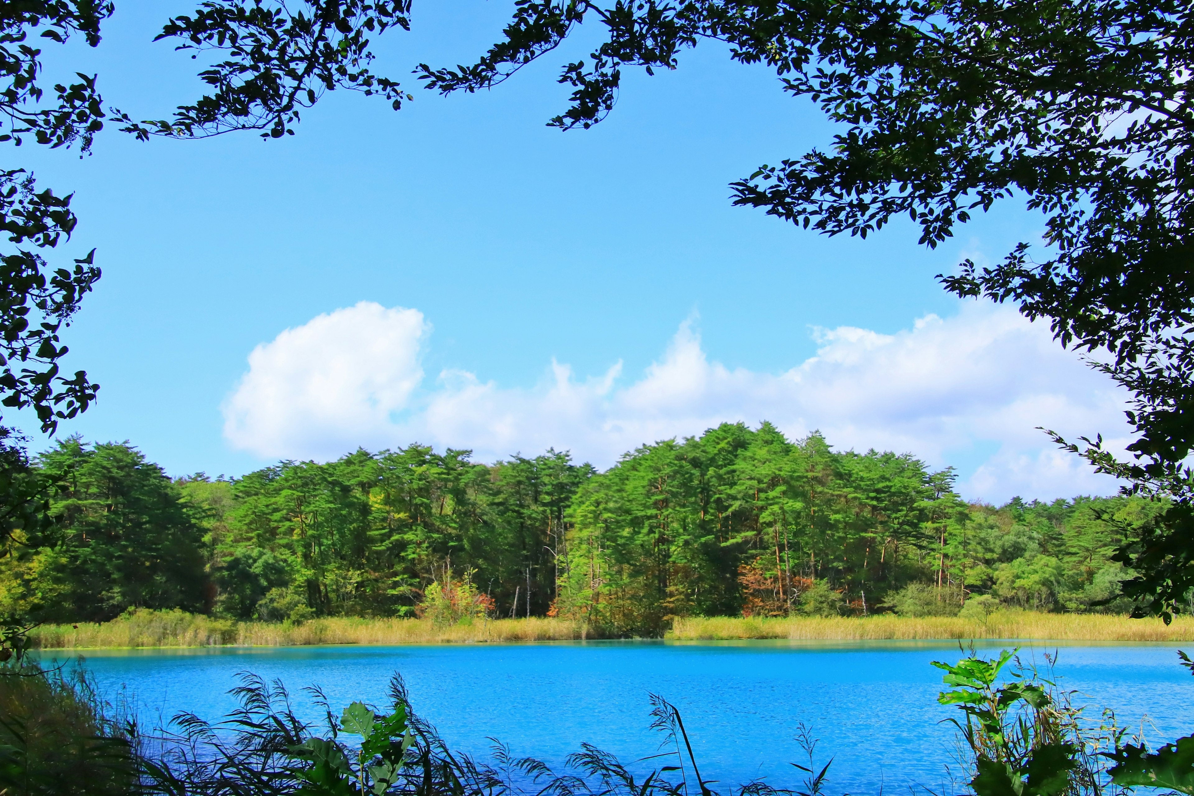 Ein ruhiger blauer See umgeben von üppigen grünen Bäumen