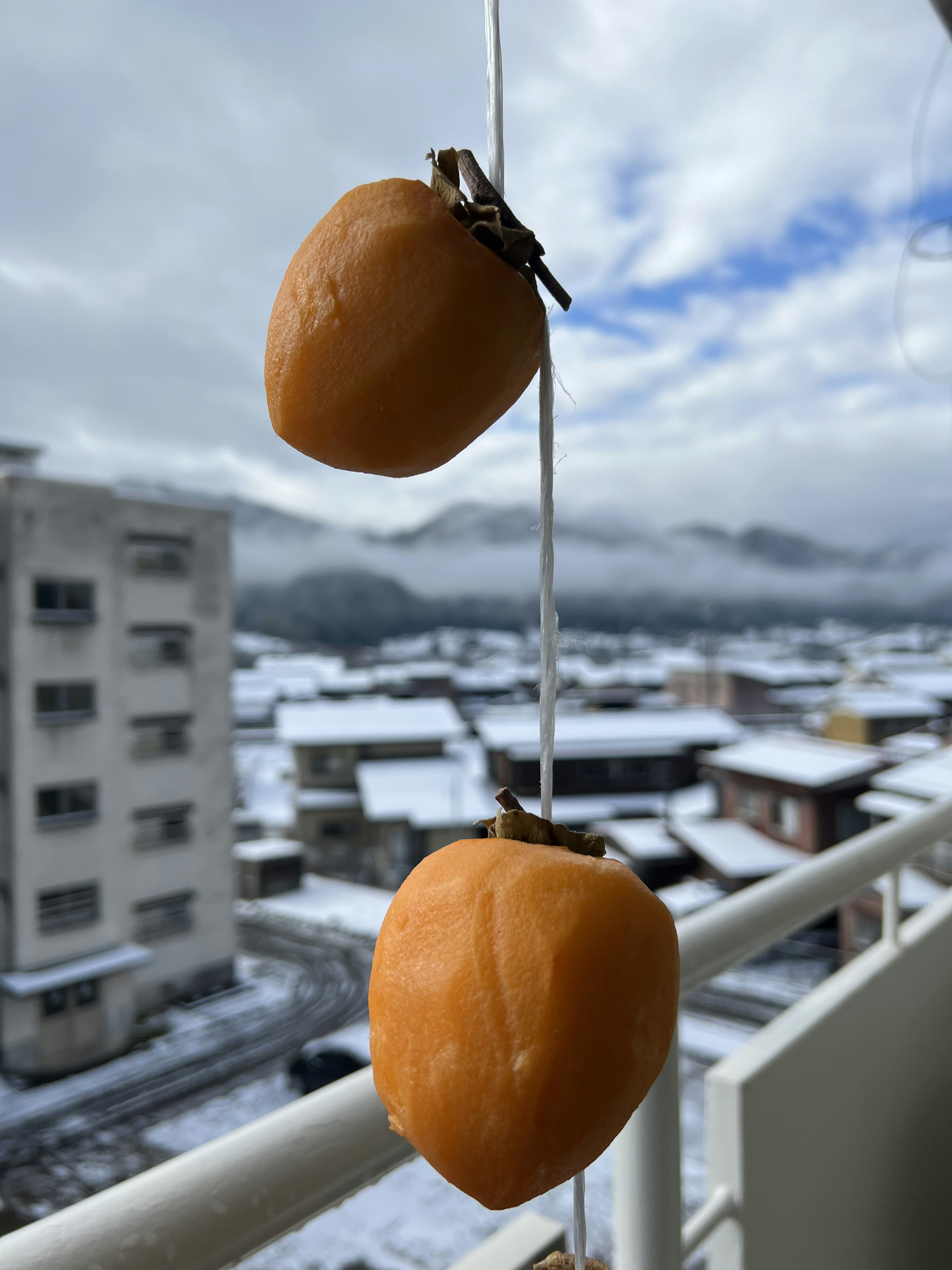 Dried persimmons hanging against a winter landscape