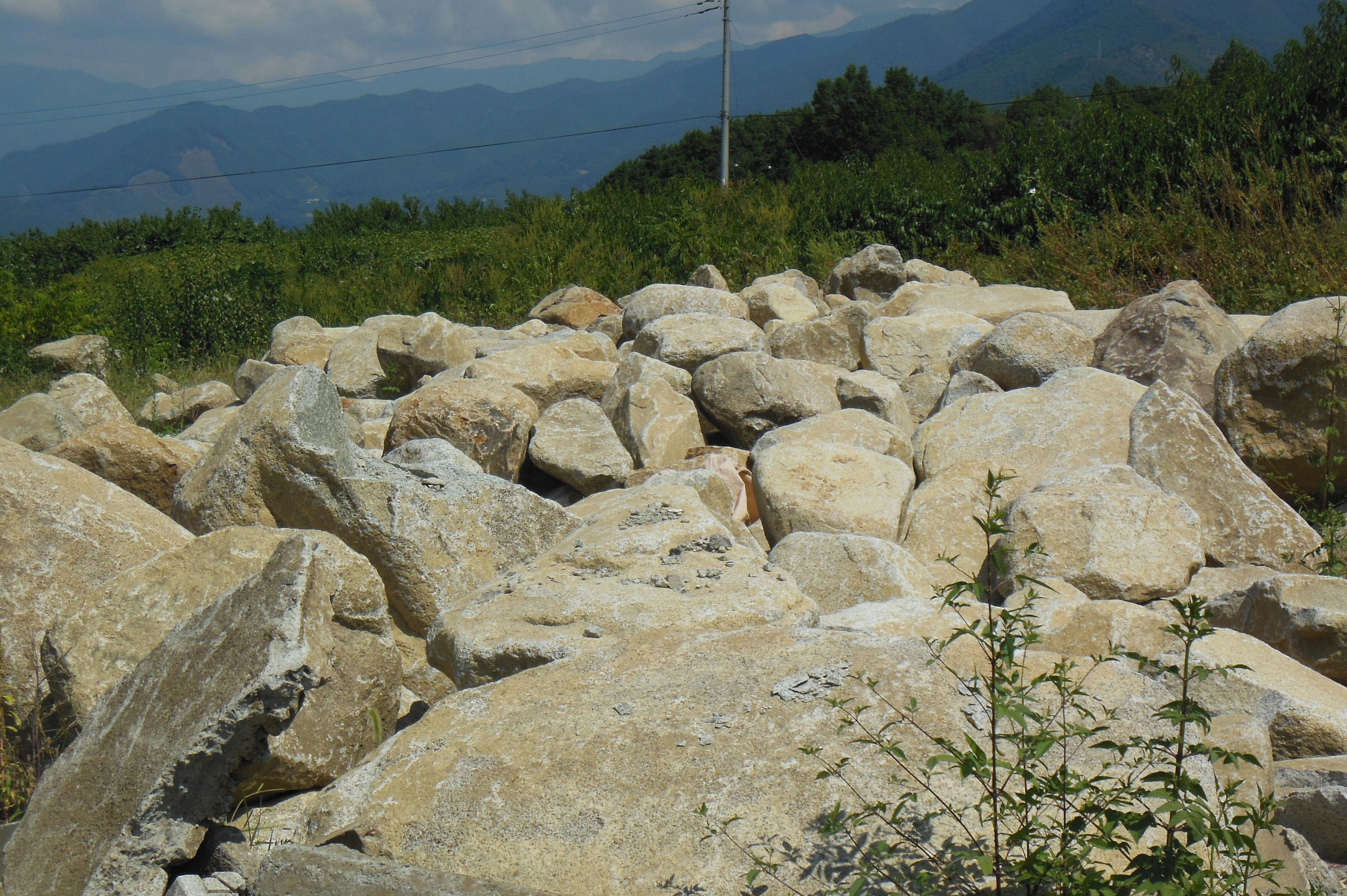 Paisaje con rocas esparcidas sobre hierba verde