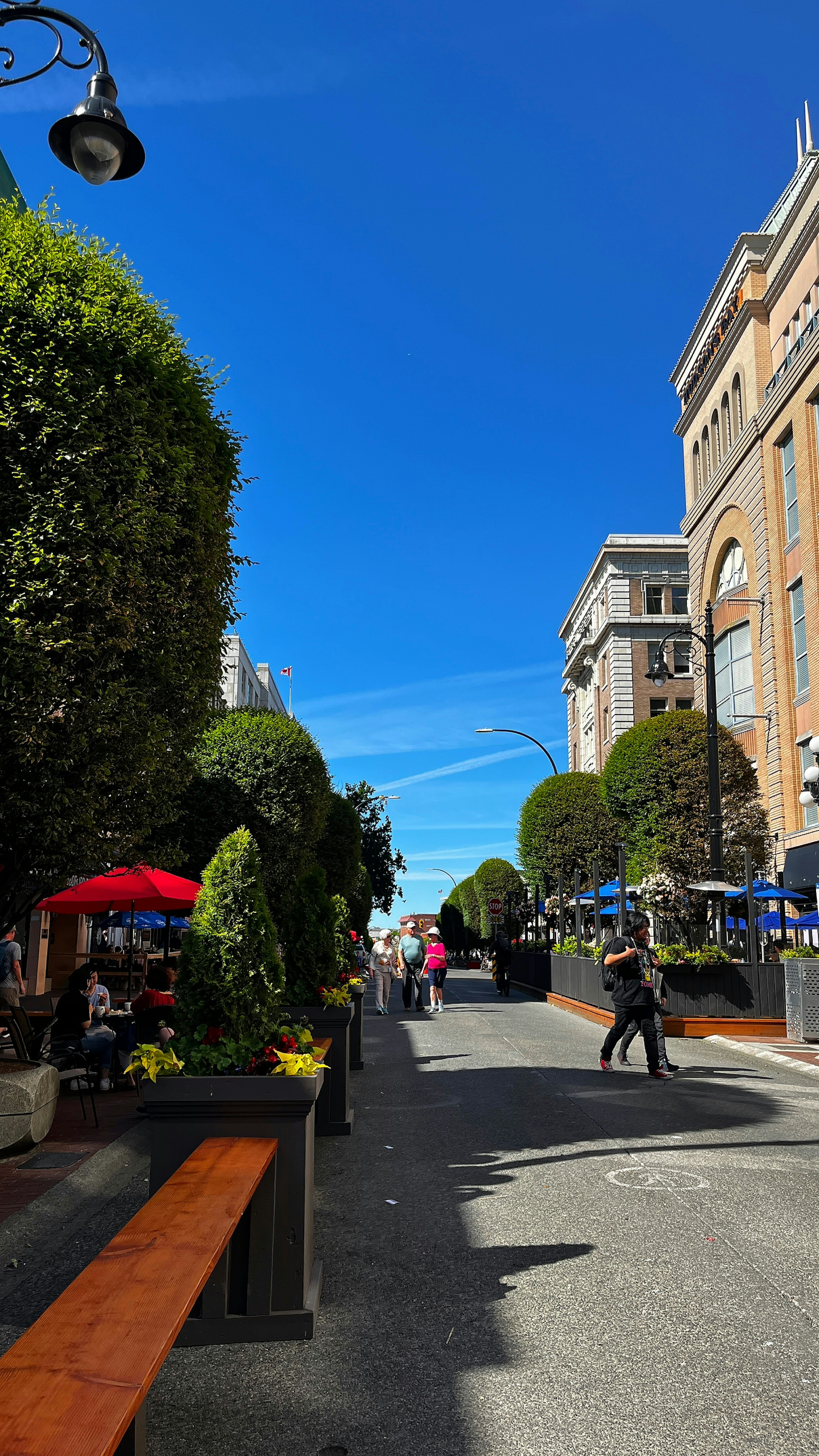 Lively street with cafes and greenery under a clear blue sky