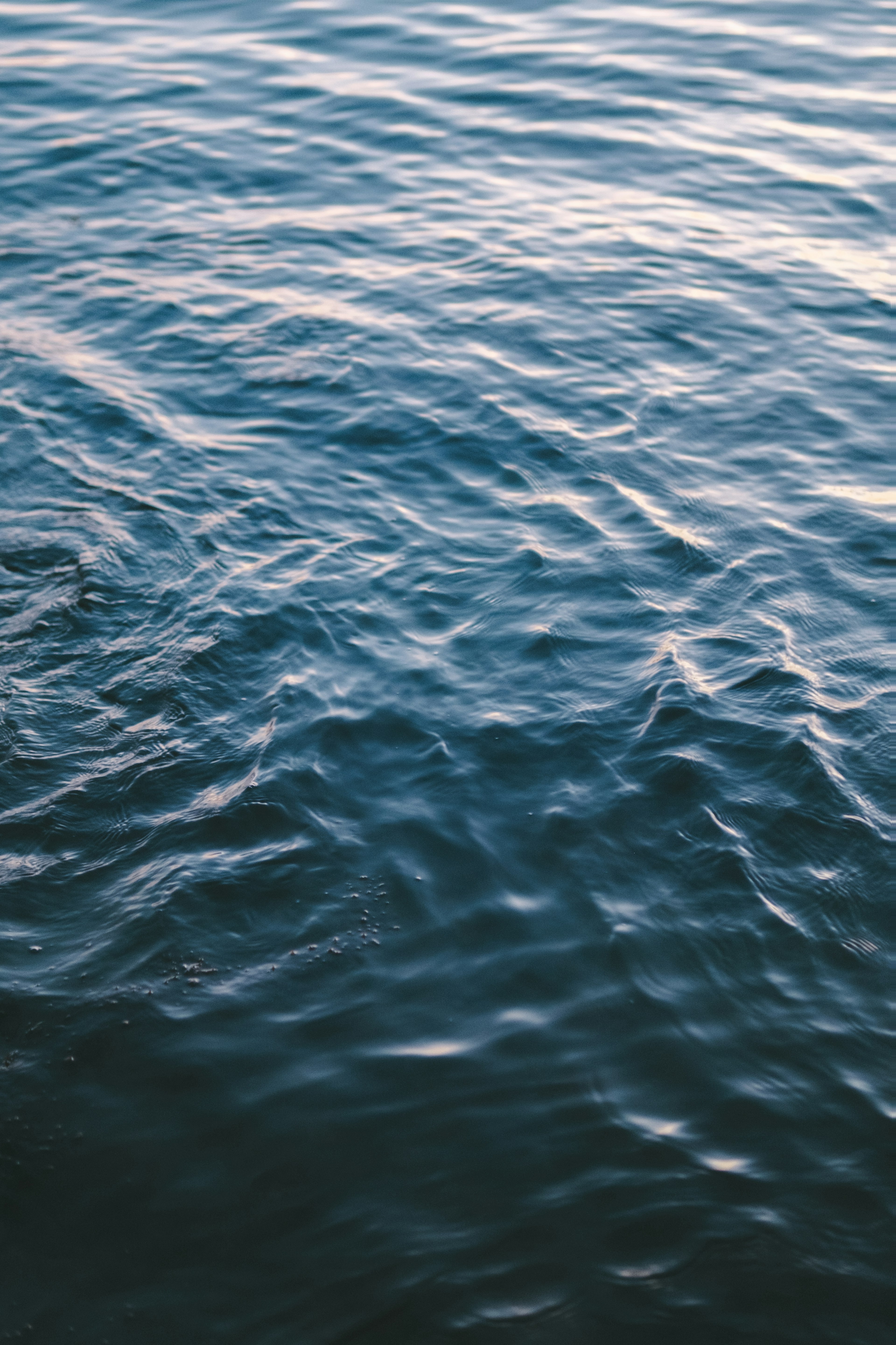 Image d'eau bleue tranquille avec des ondulations douces