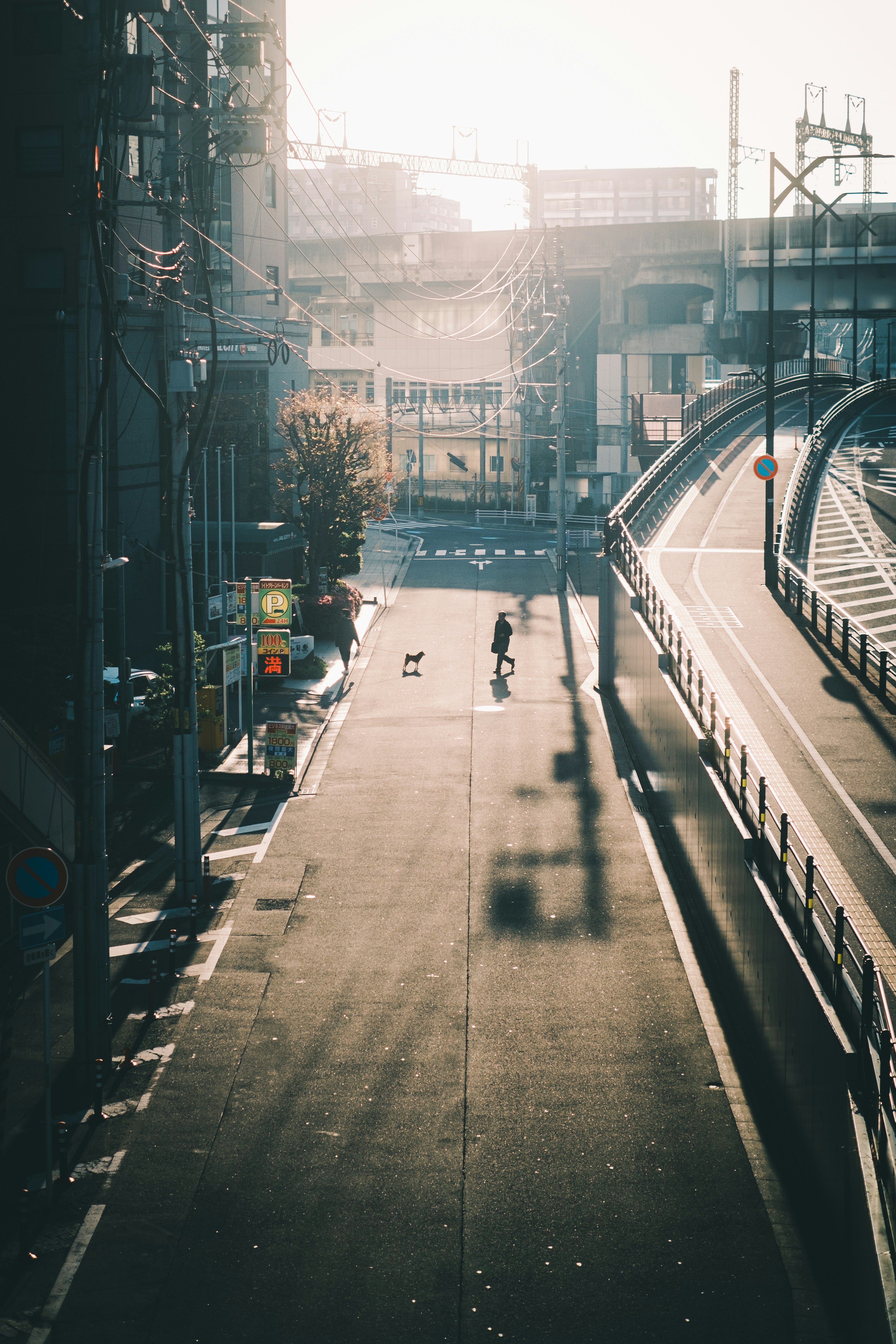 Un paysage urbain avec une personne promenant un chien sous la lumière du matin