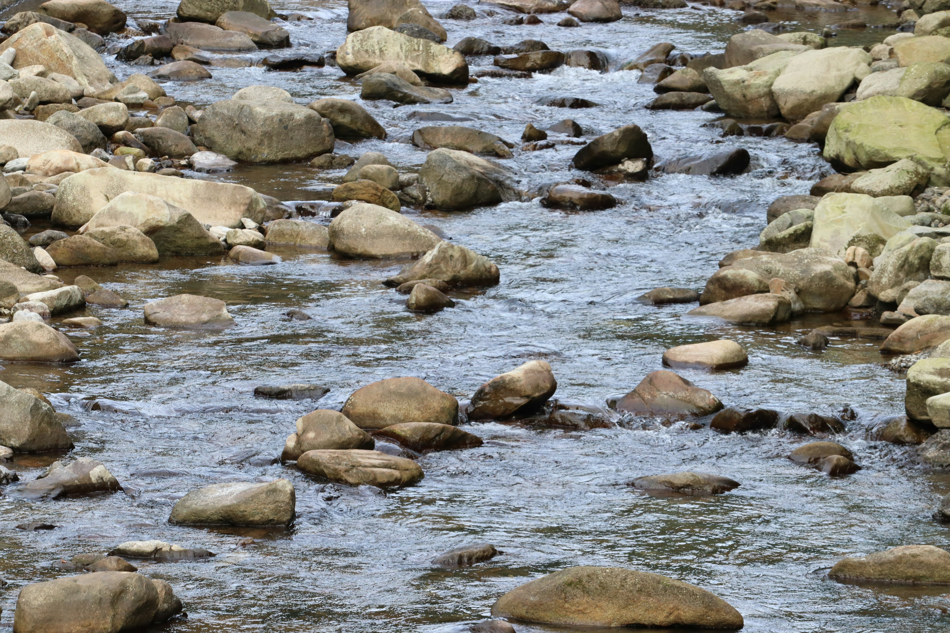 Malersicher Blick auf einen Fluss, der über große Steine fließt