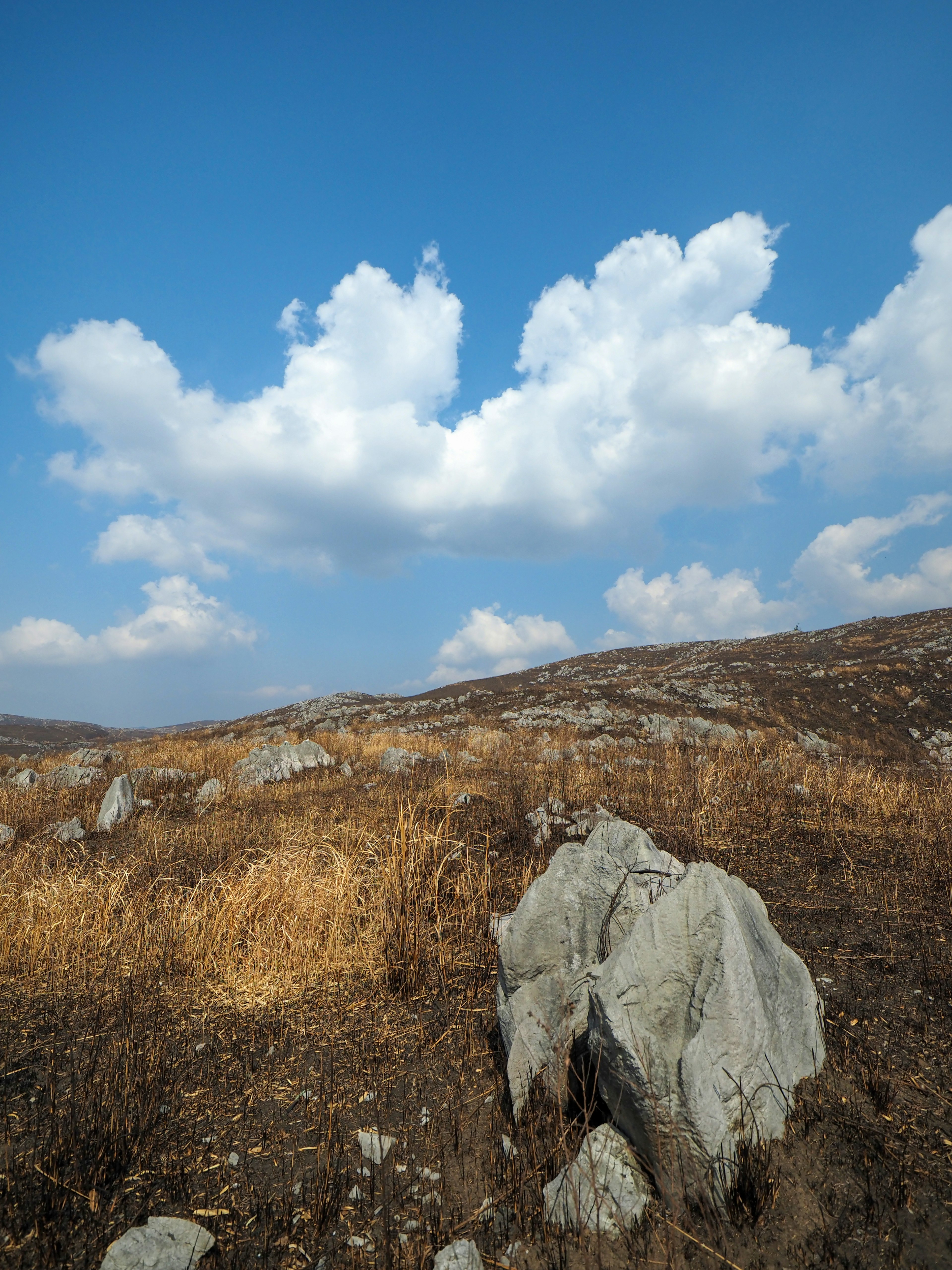 Trockene Graslandschaft mit weißen Wolken in blauem Himmel