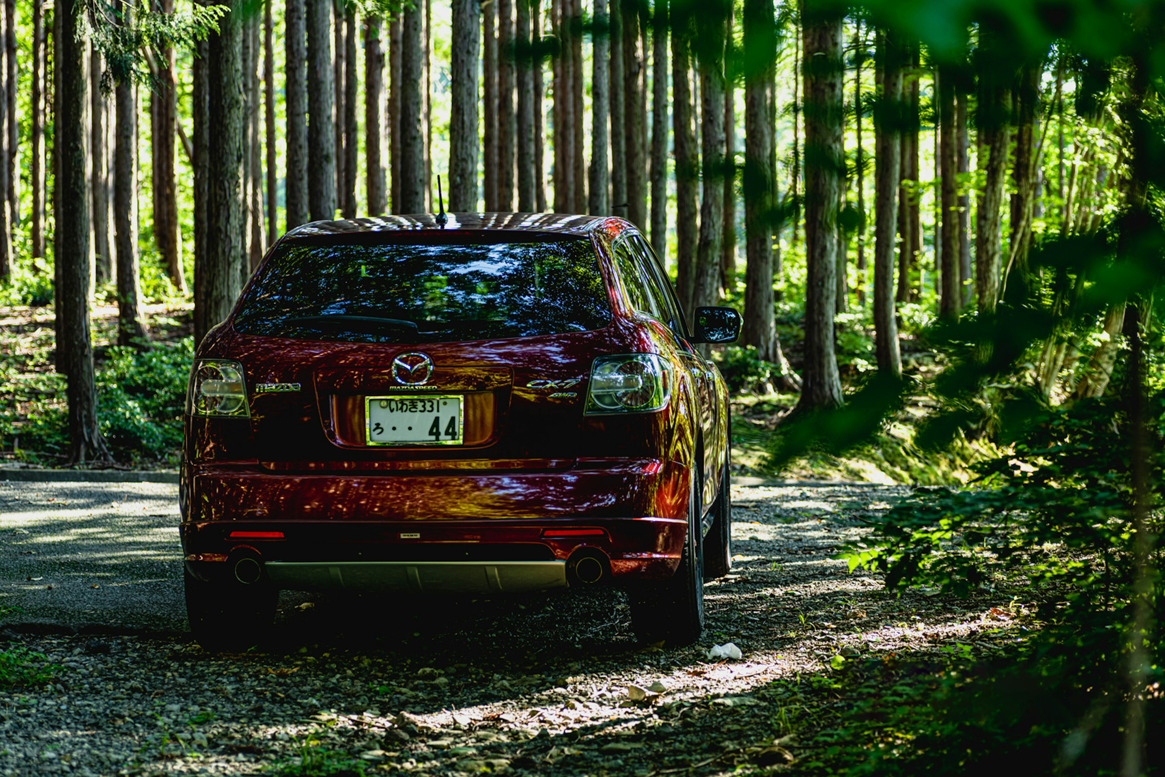 Rear view of a red SUV on a gravel road surrounded by tall trees