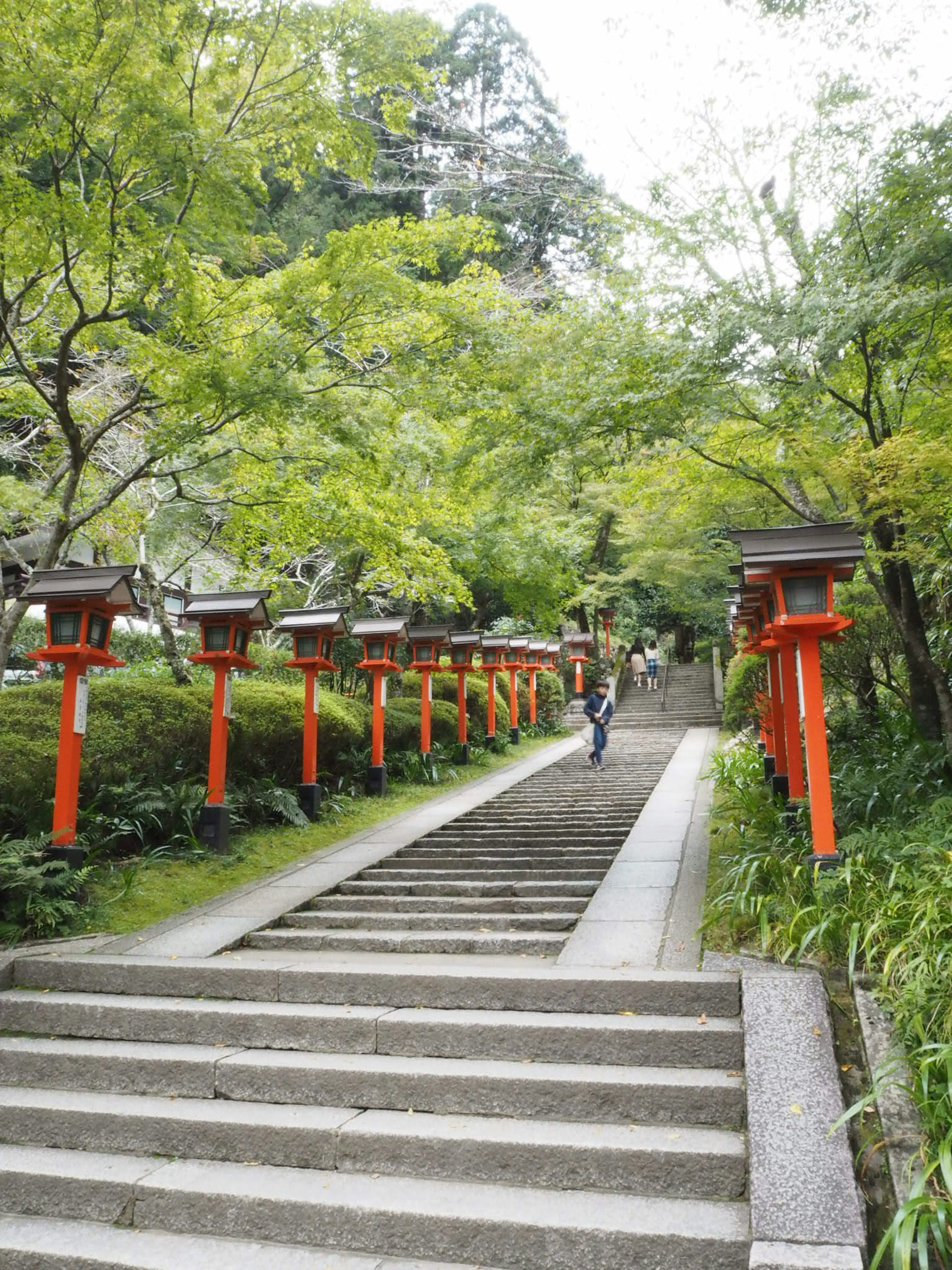 緑の木々に囲まれた階段の通路赤い灯篭が並ぶ風景